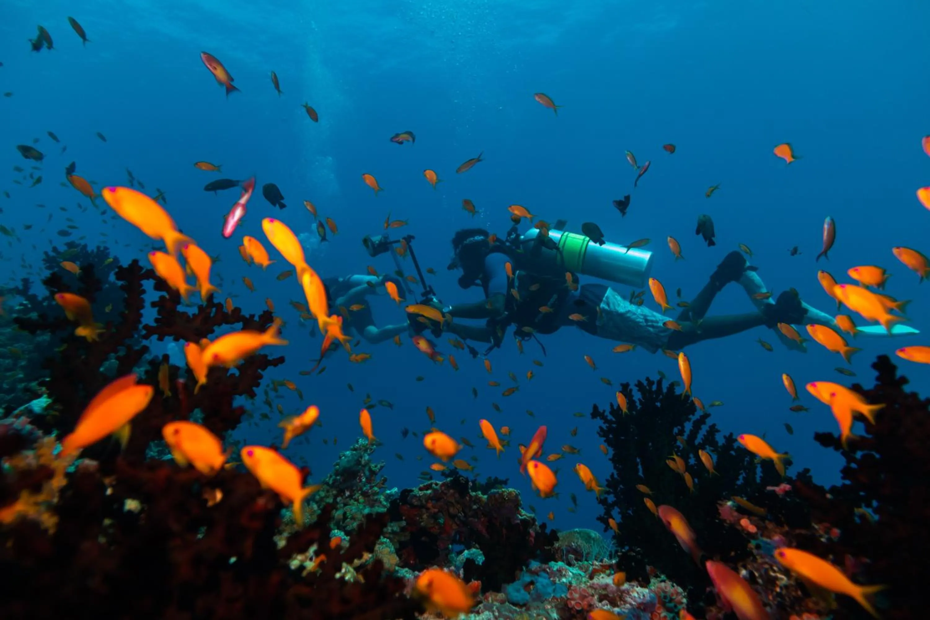 Activities in Kuredhivaru Resort and Spa - Maldives