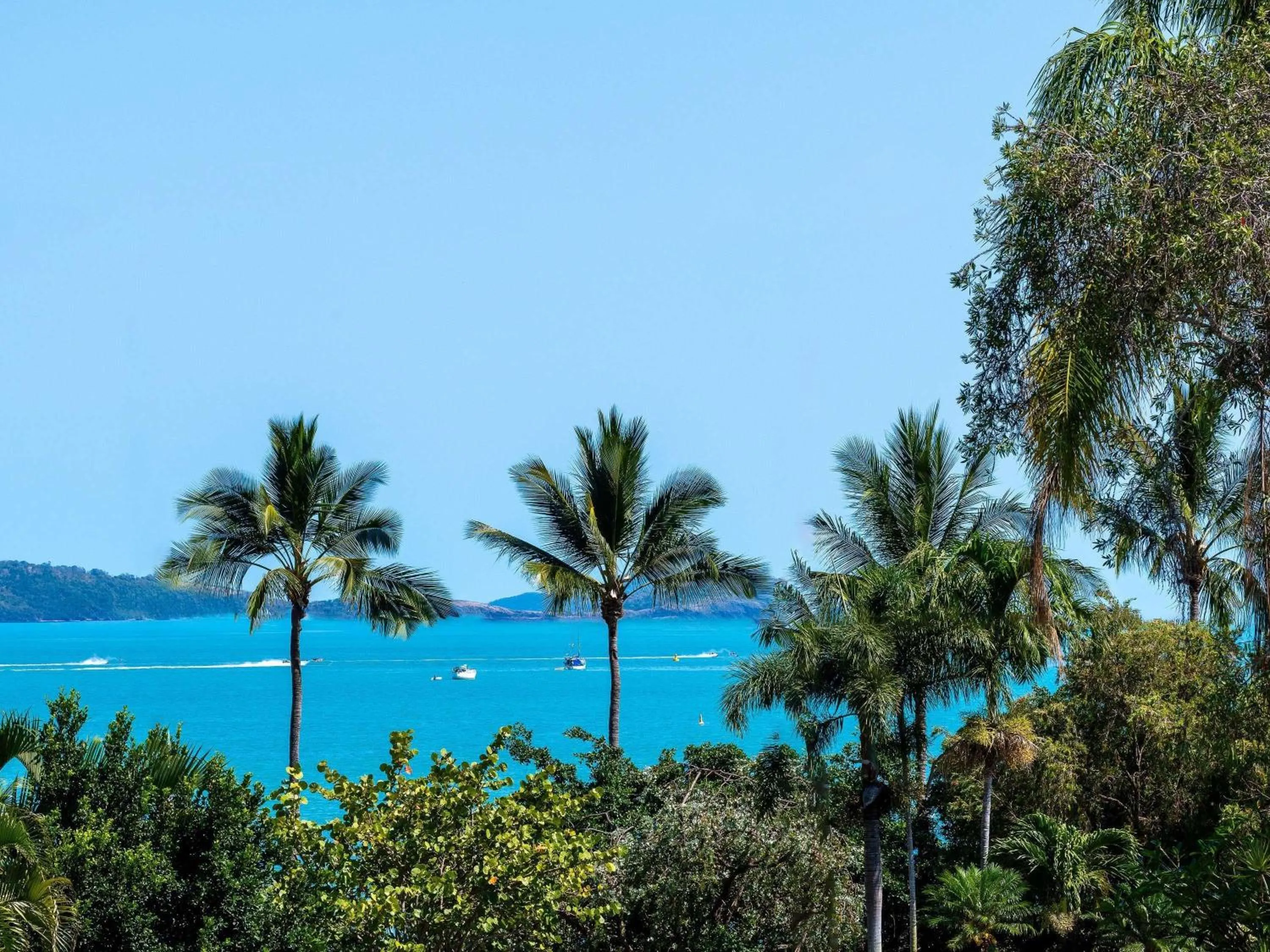 Other in Mantra Club Croc