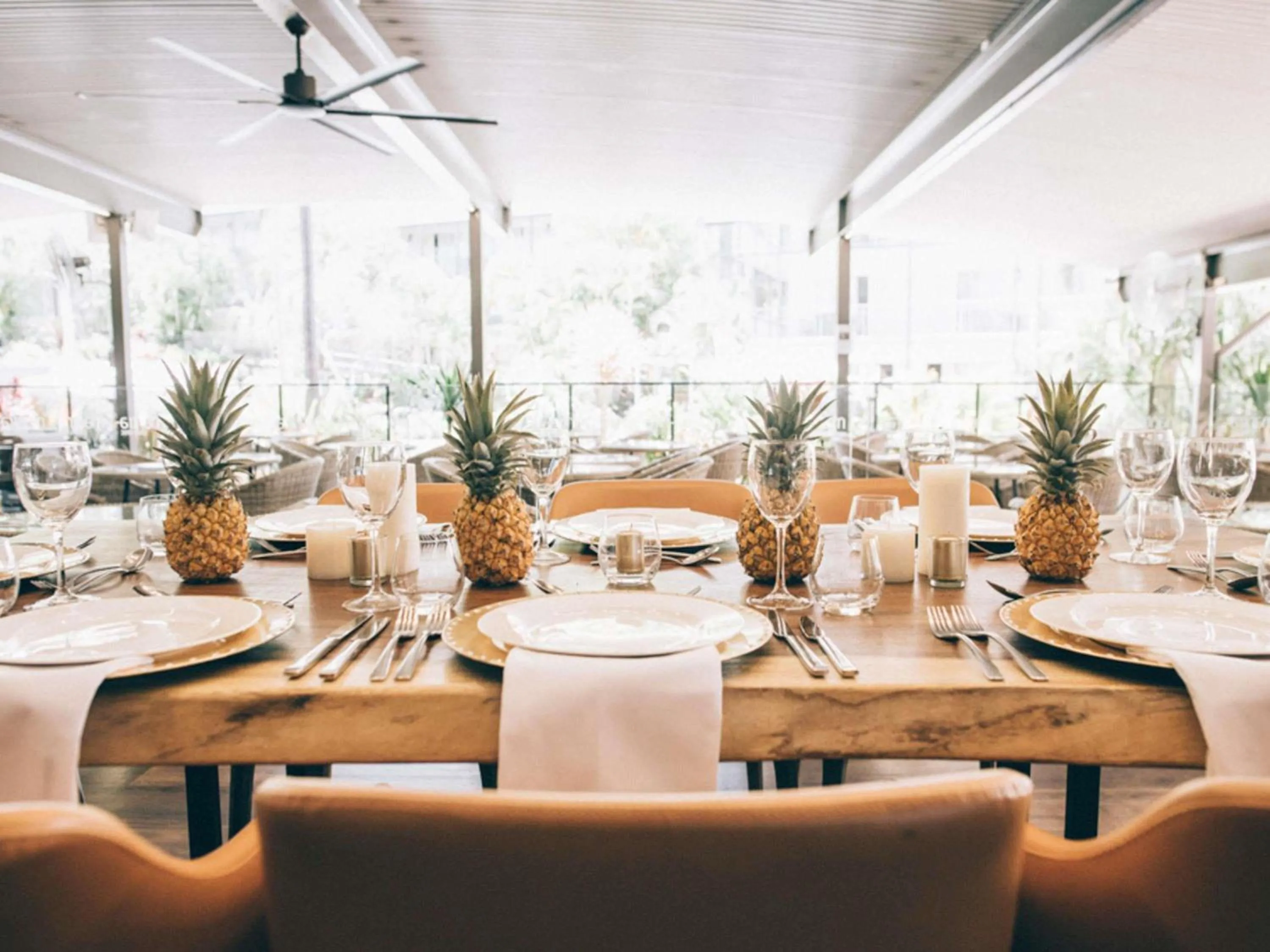 Other in Mantra Club Croc