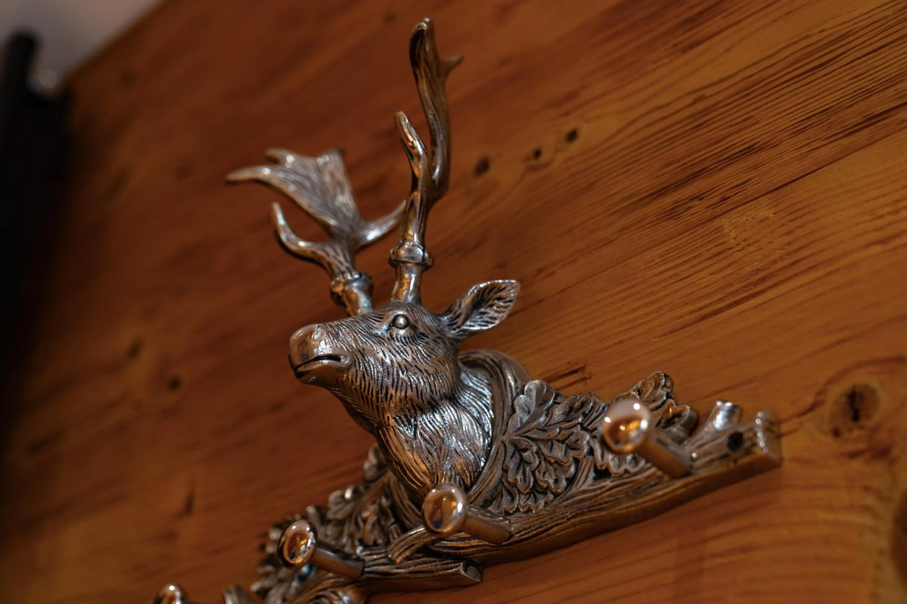 Hotel Villa Alpina ***S