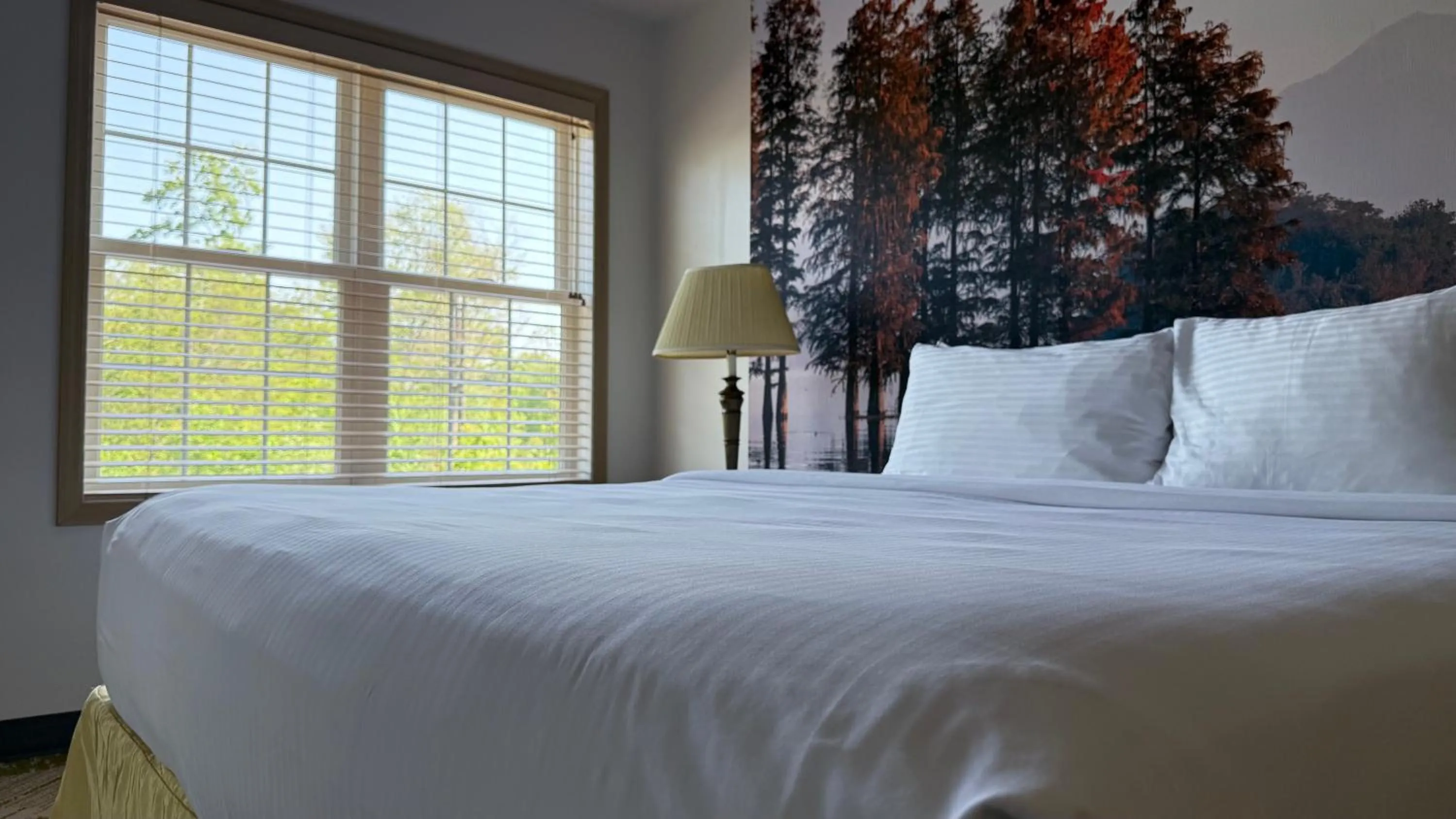 Bed in Split Rock Resort