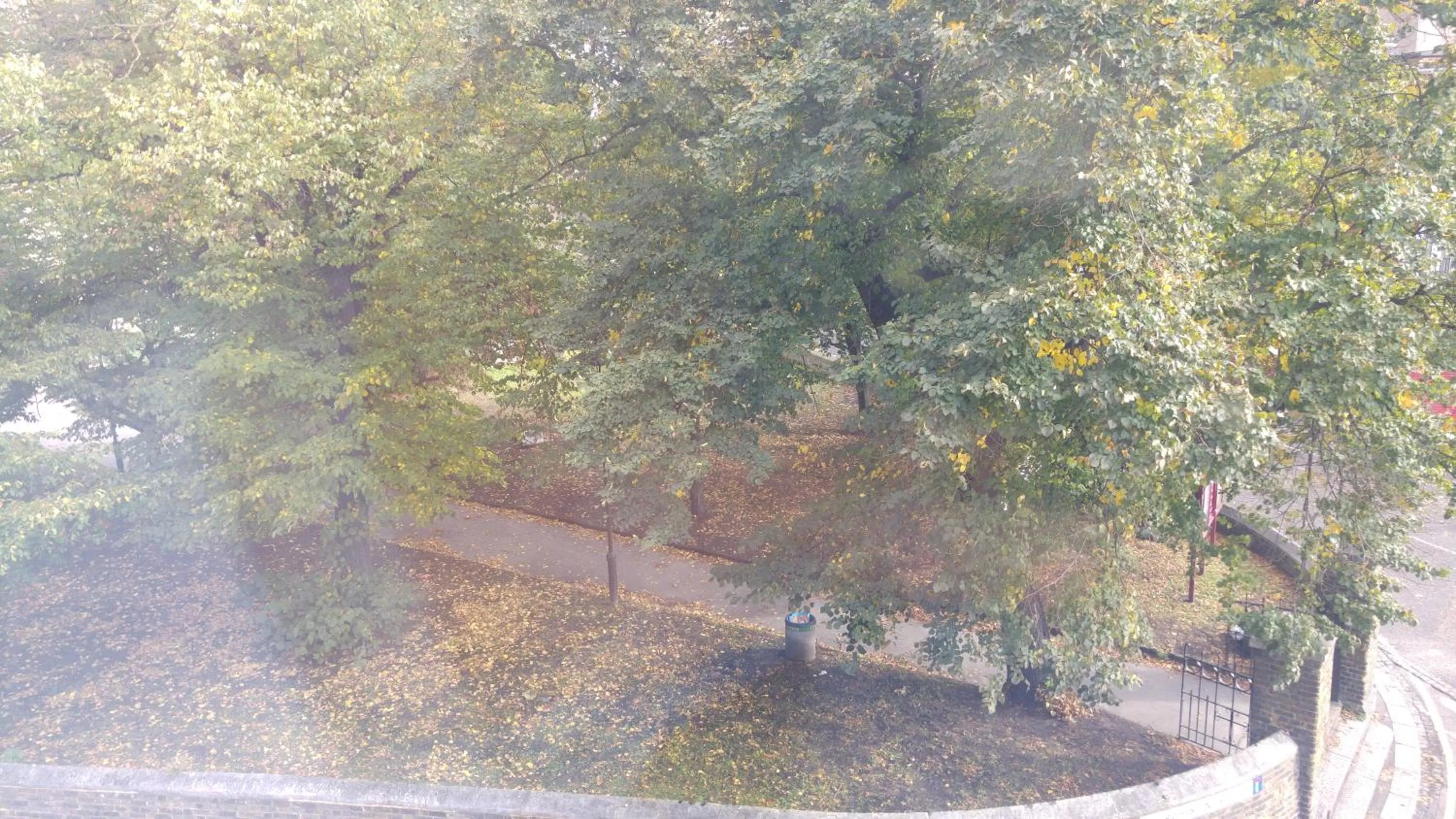 Garden view in City View Hotel Stratford