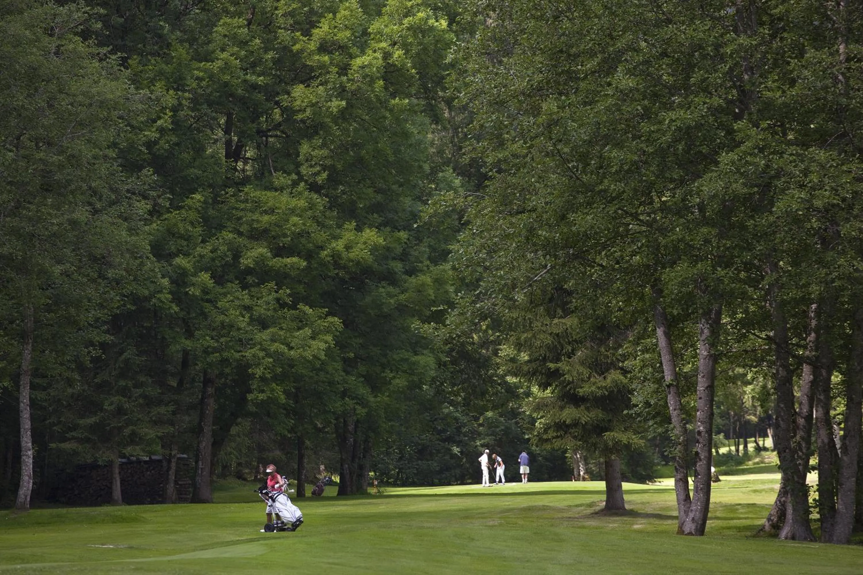 Golfcourse in Chalet-Hôtel Les Fermes de Pierre & Anna
