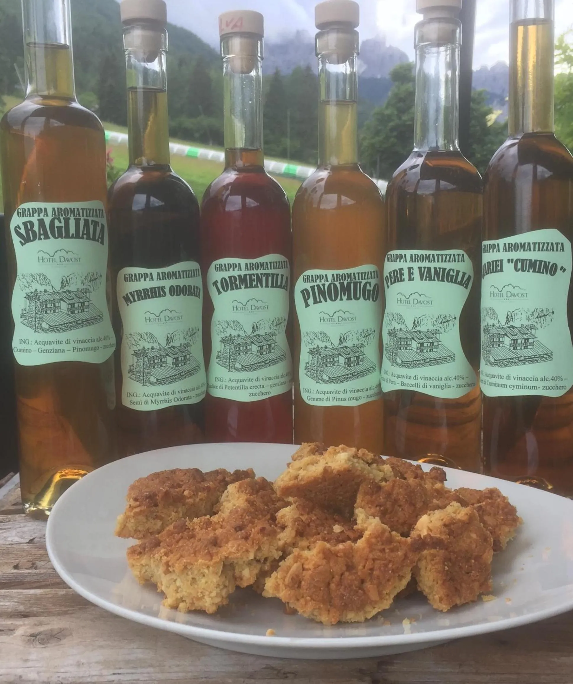 Food and drinks in Hotel Davost