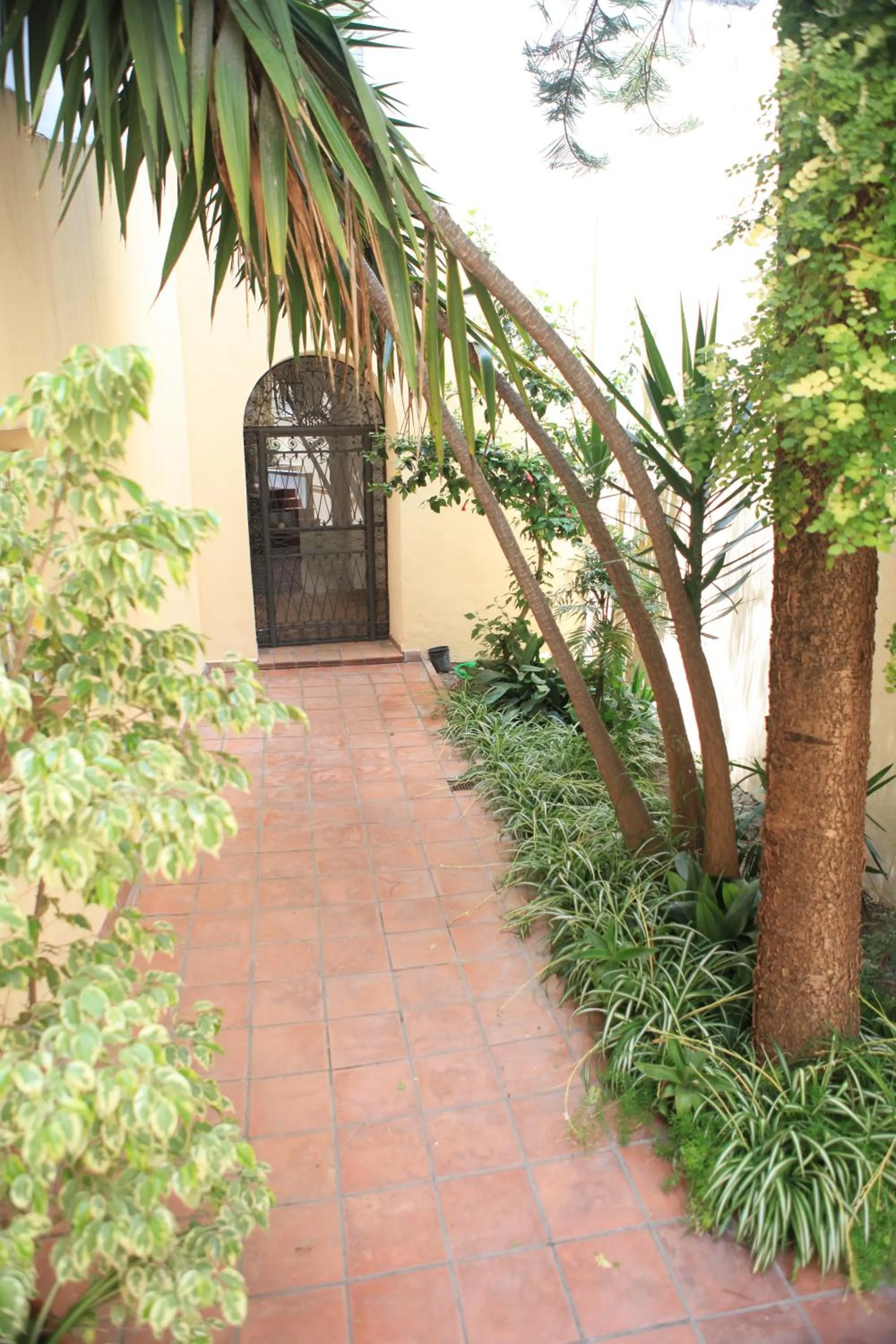 Facade/entrance in Hotel El Coloso