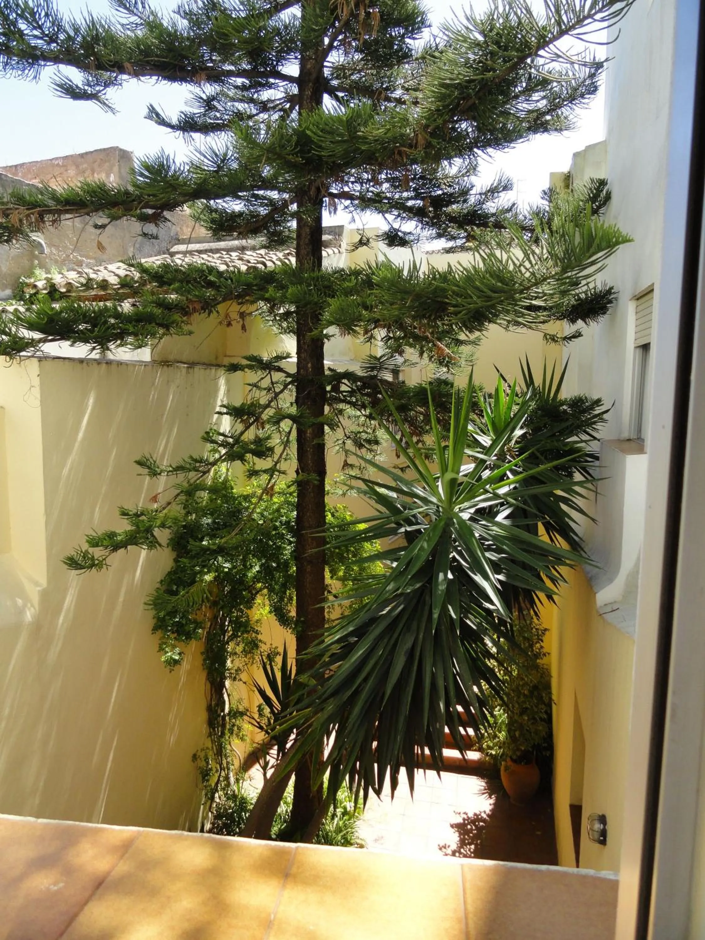 Day in Hotel El Coloso