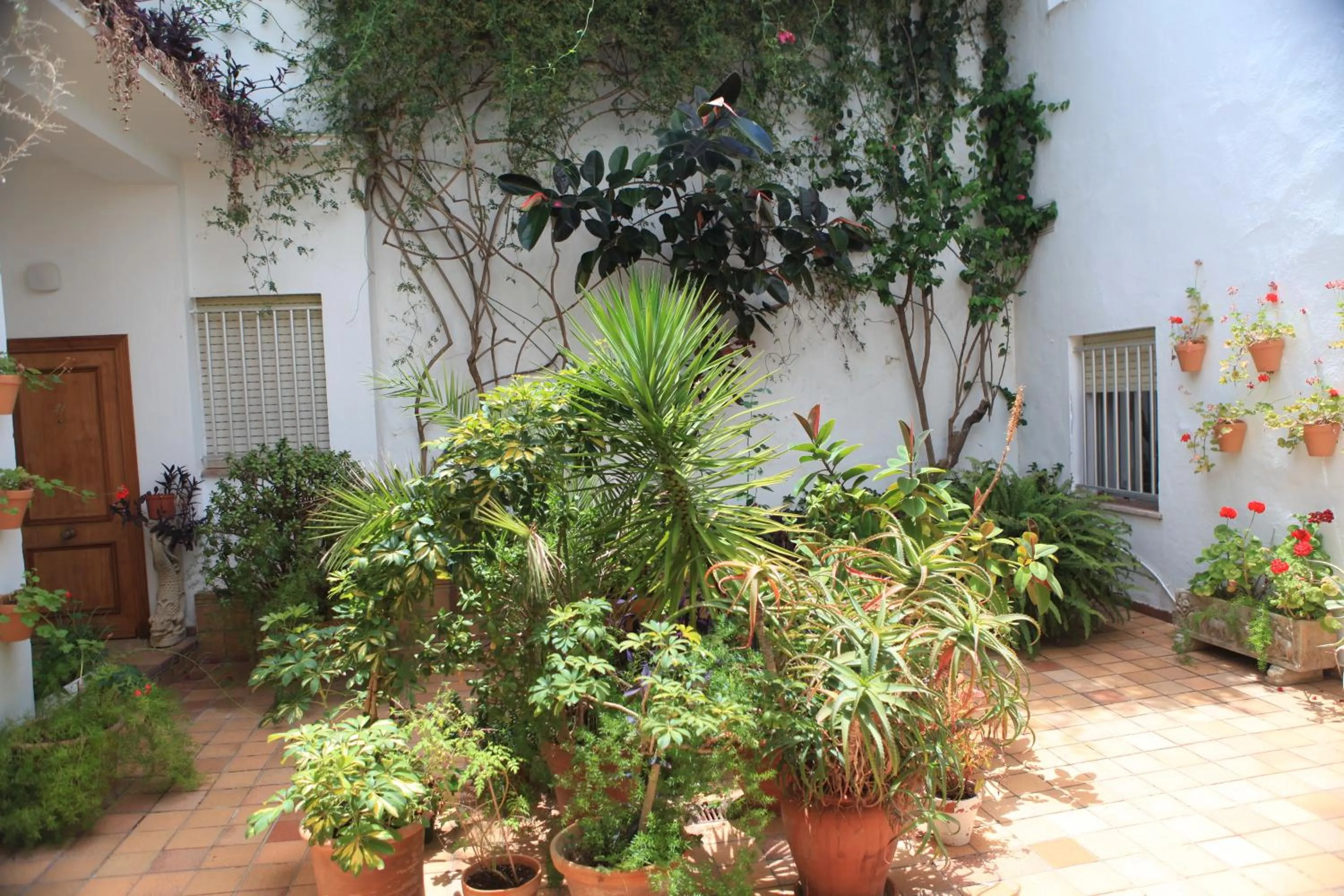 Day in Hotel El Coloso