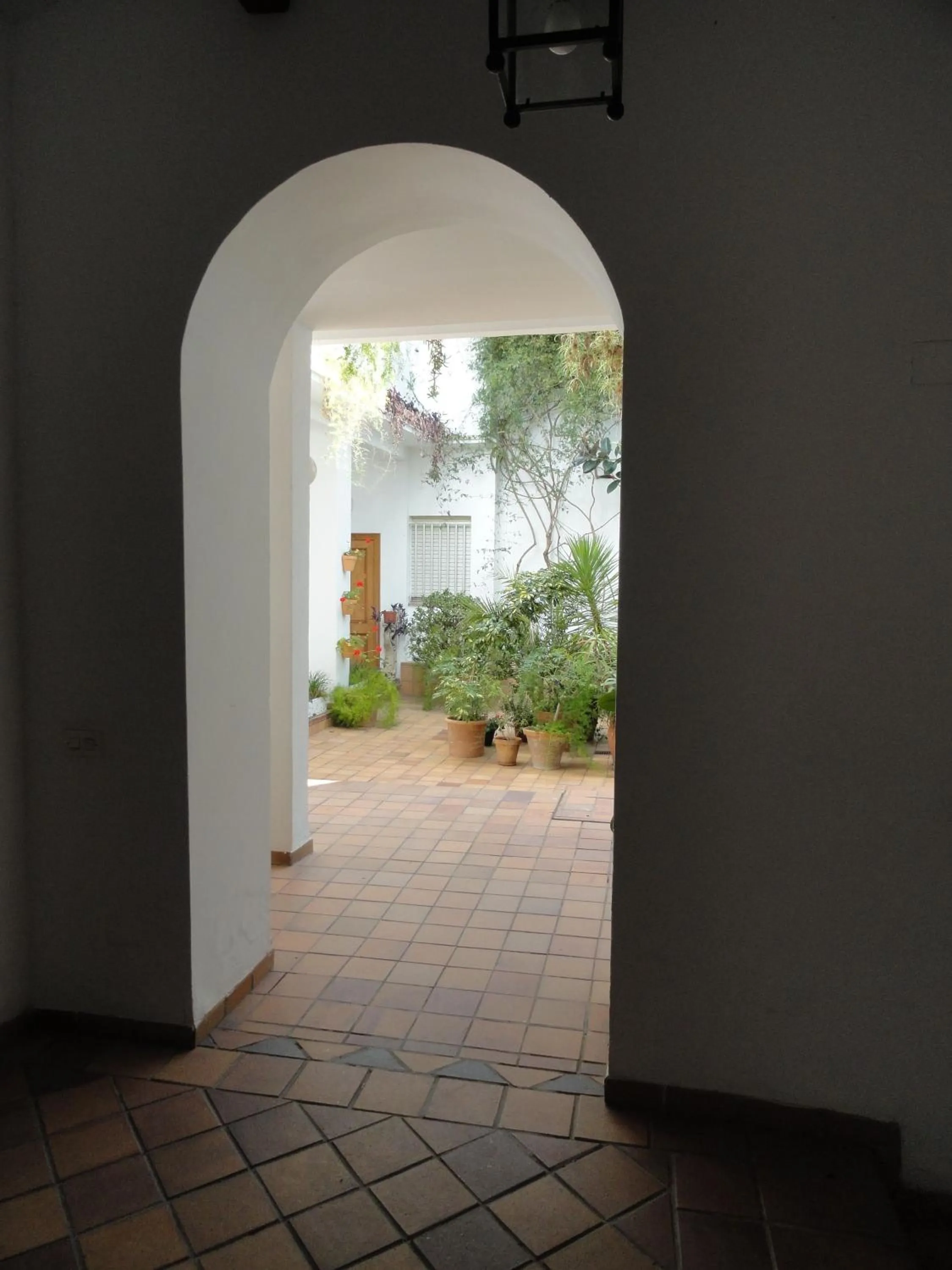 Day in Hotel El Coloso