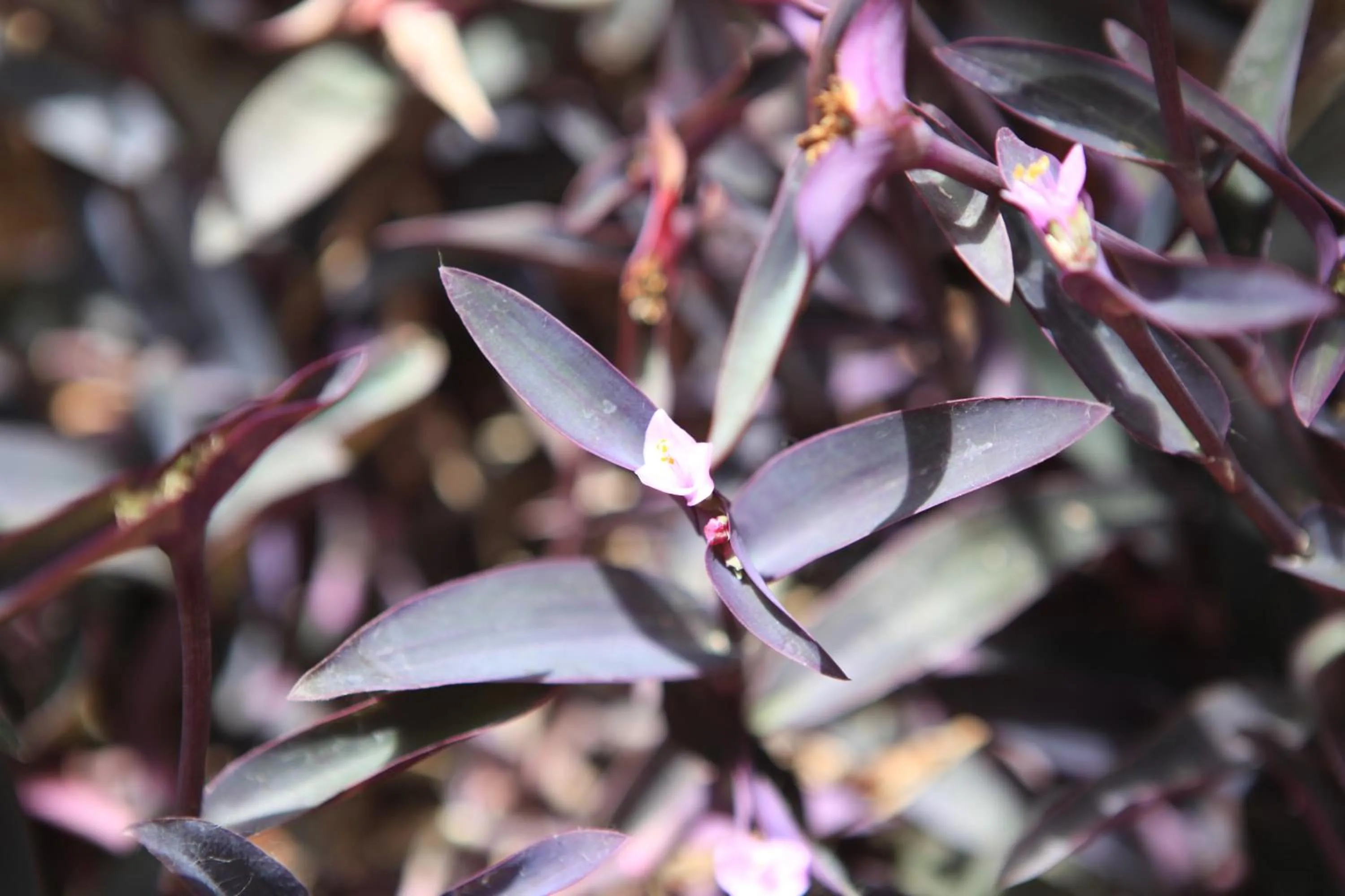 Other in Hotel El Coloso