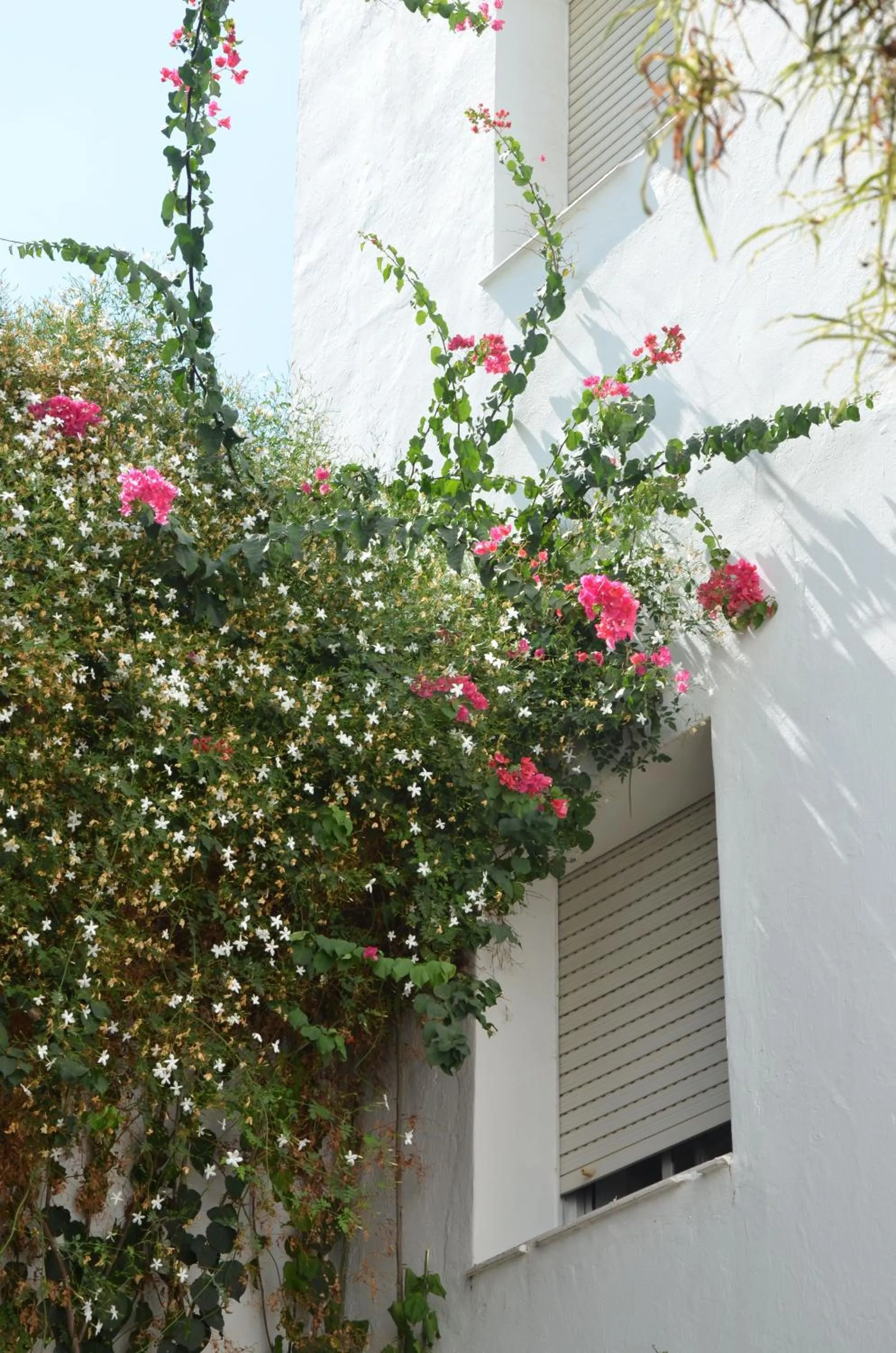 Day in Hotel El Coloso