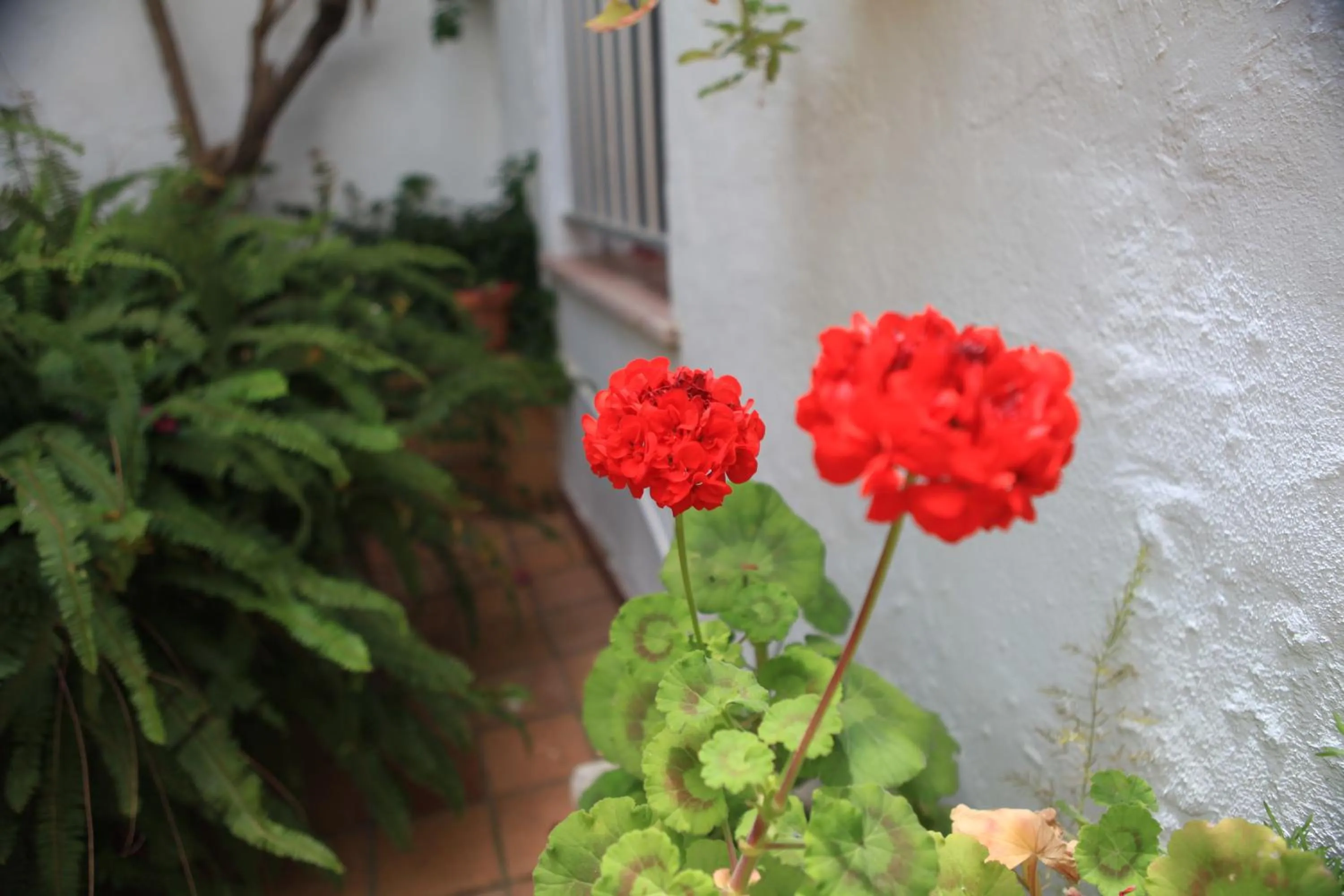 Other in Hotel El Coloso