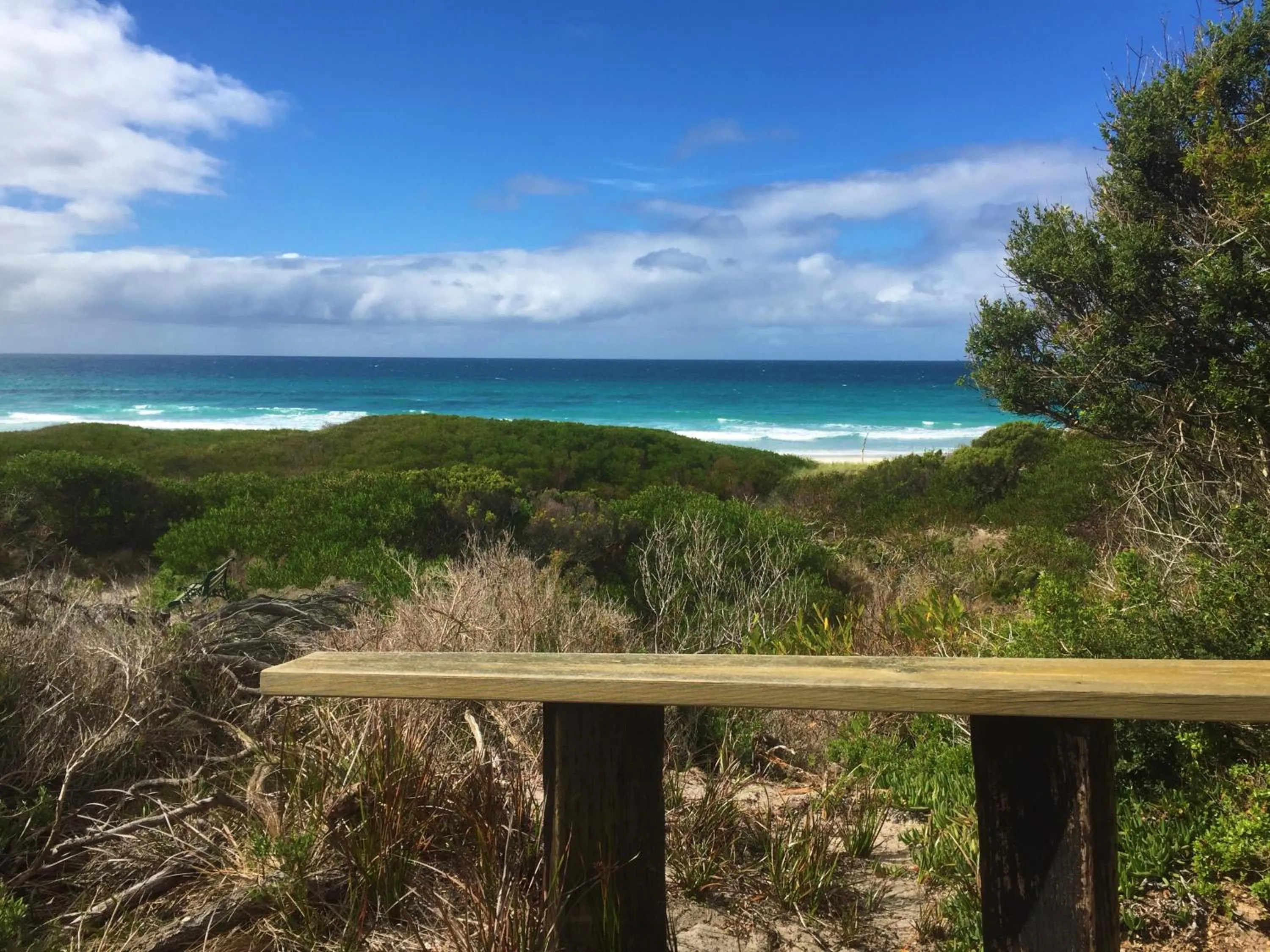Natural landscape in Sandpiper Ocean Cottages