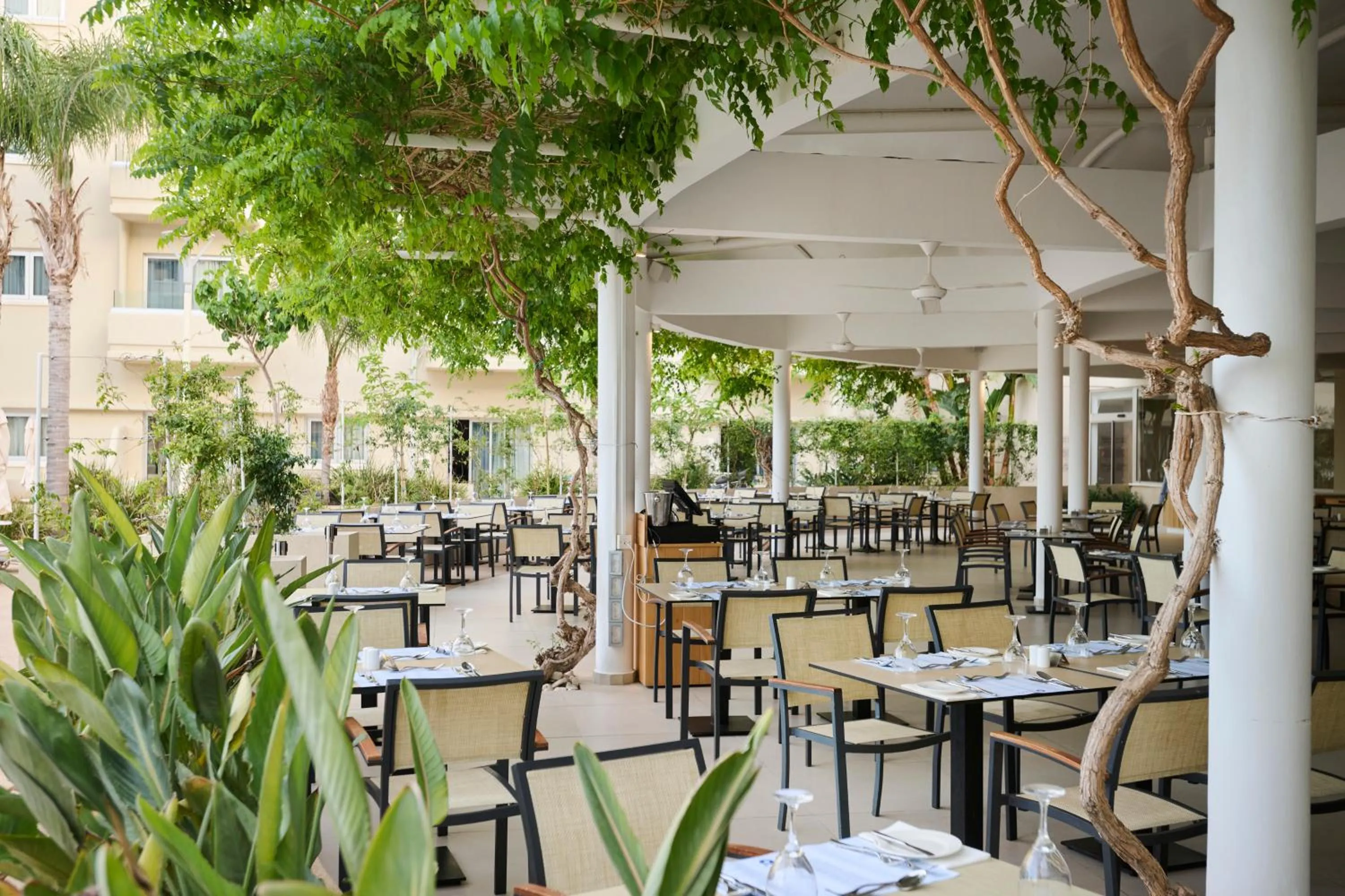 Restaurant/places to eat in Sunrise Oasis Hotel & Waterpark