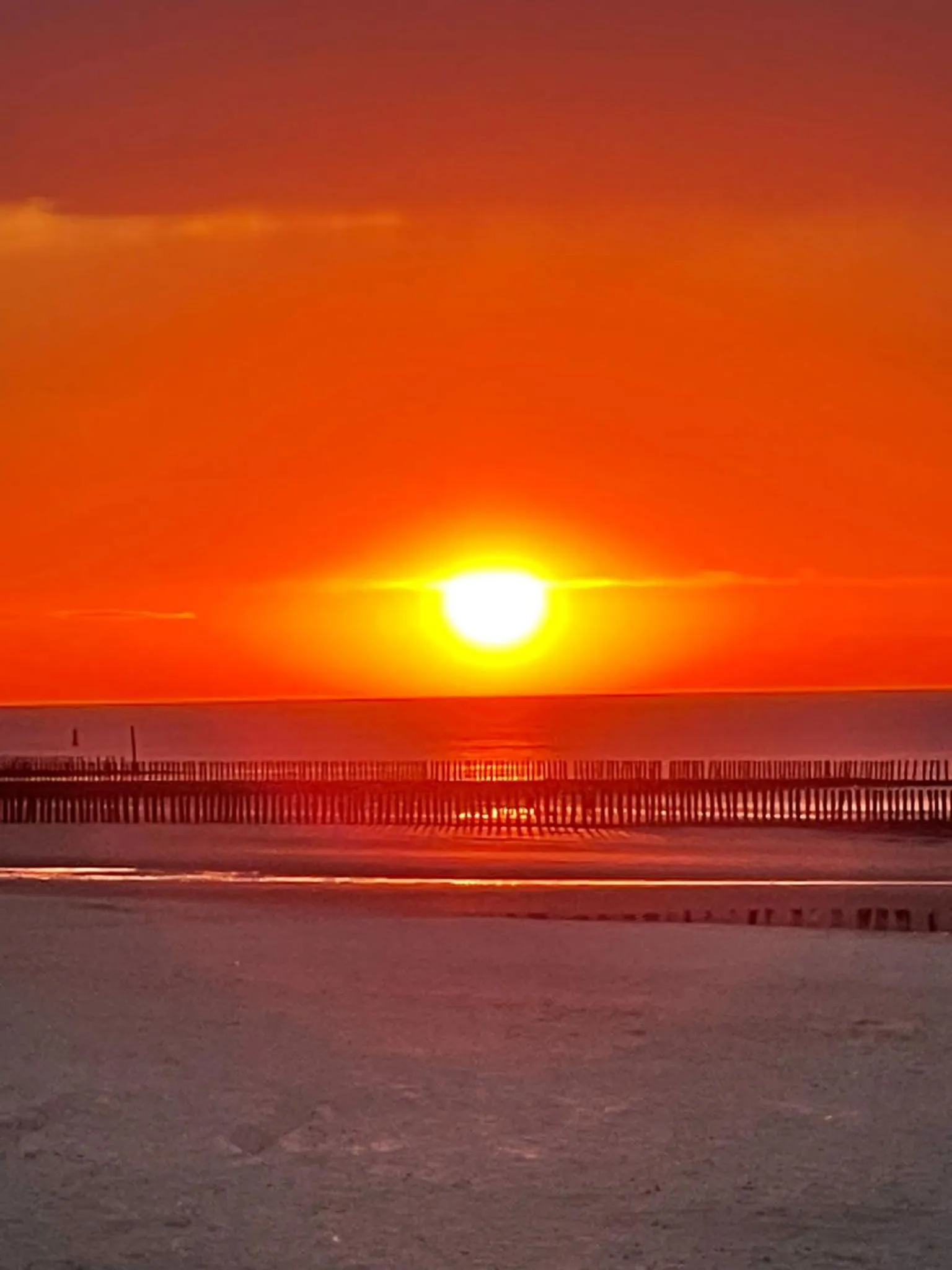 Beach in Hotel Groede