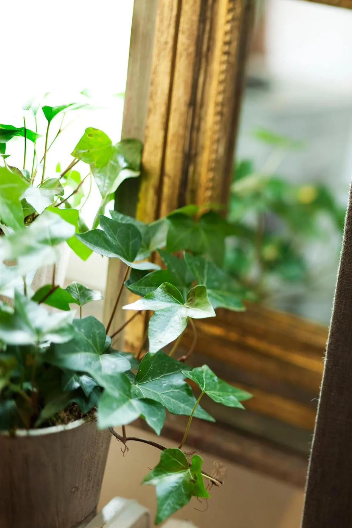 Decorative detail in Château de la Marine