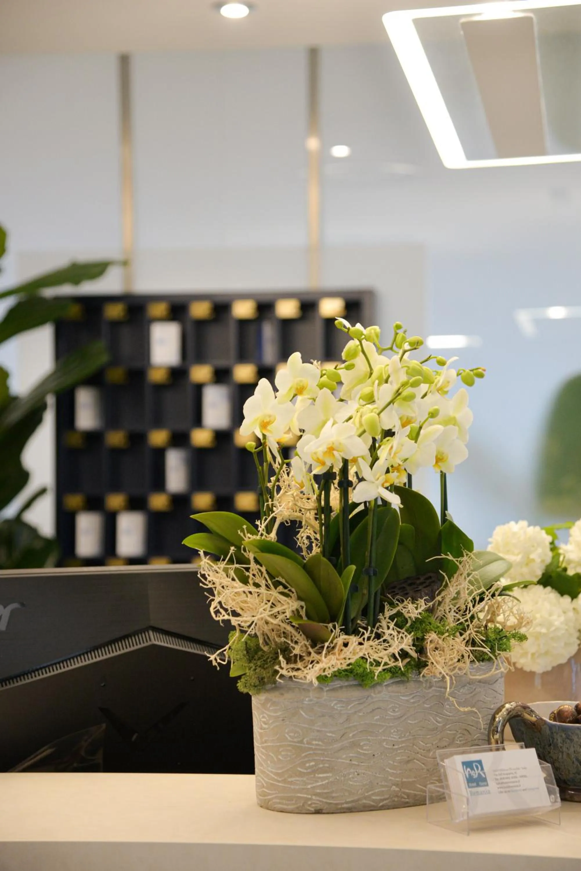 Lobby or reception in Hotel Renania