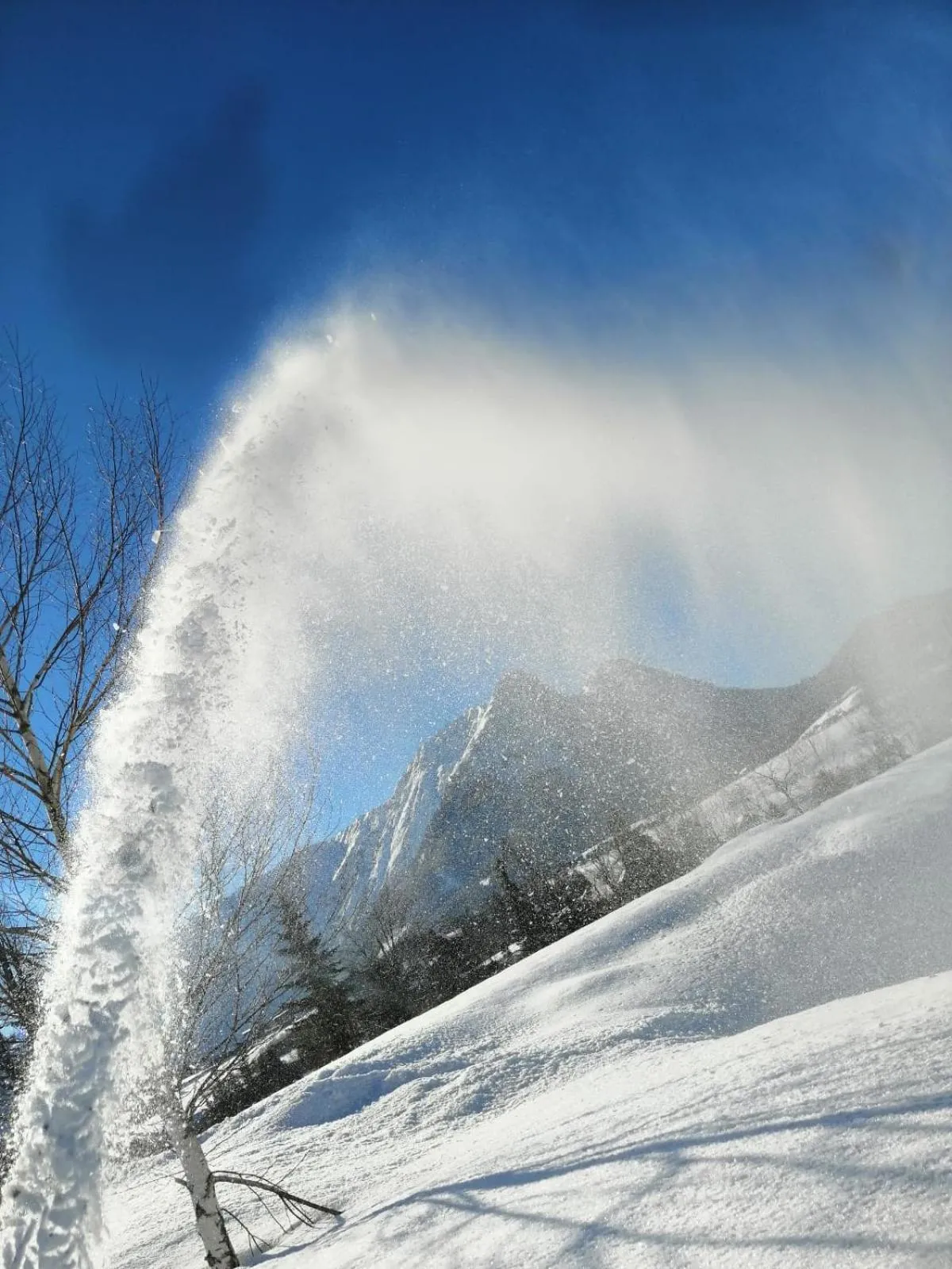 Garden in Oase Berta