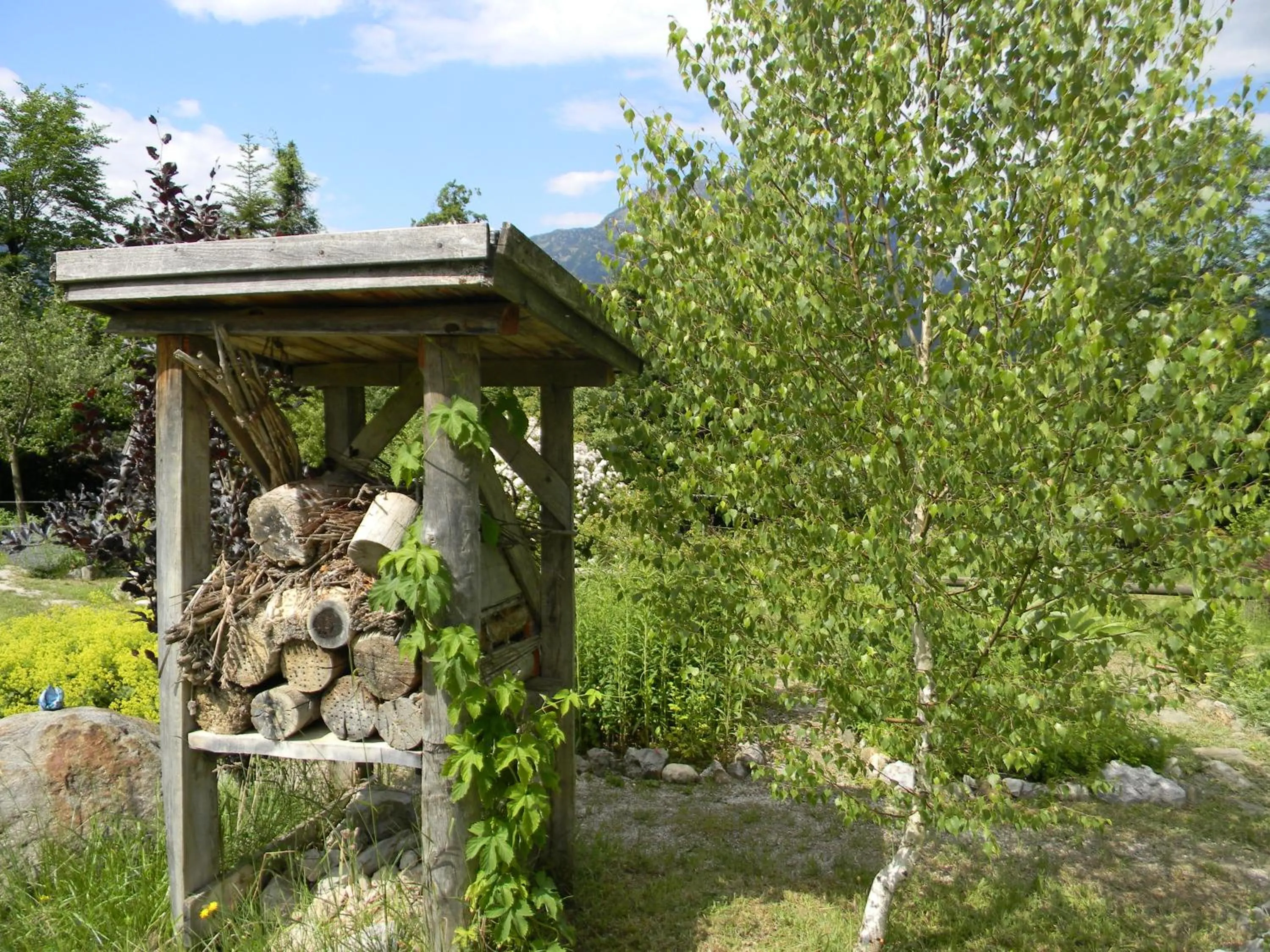 Garden in Oase Berta