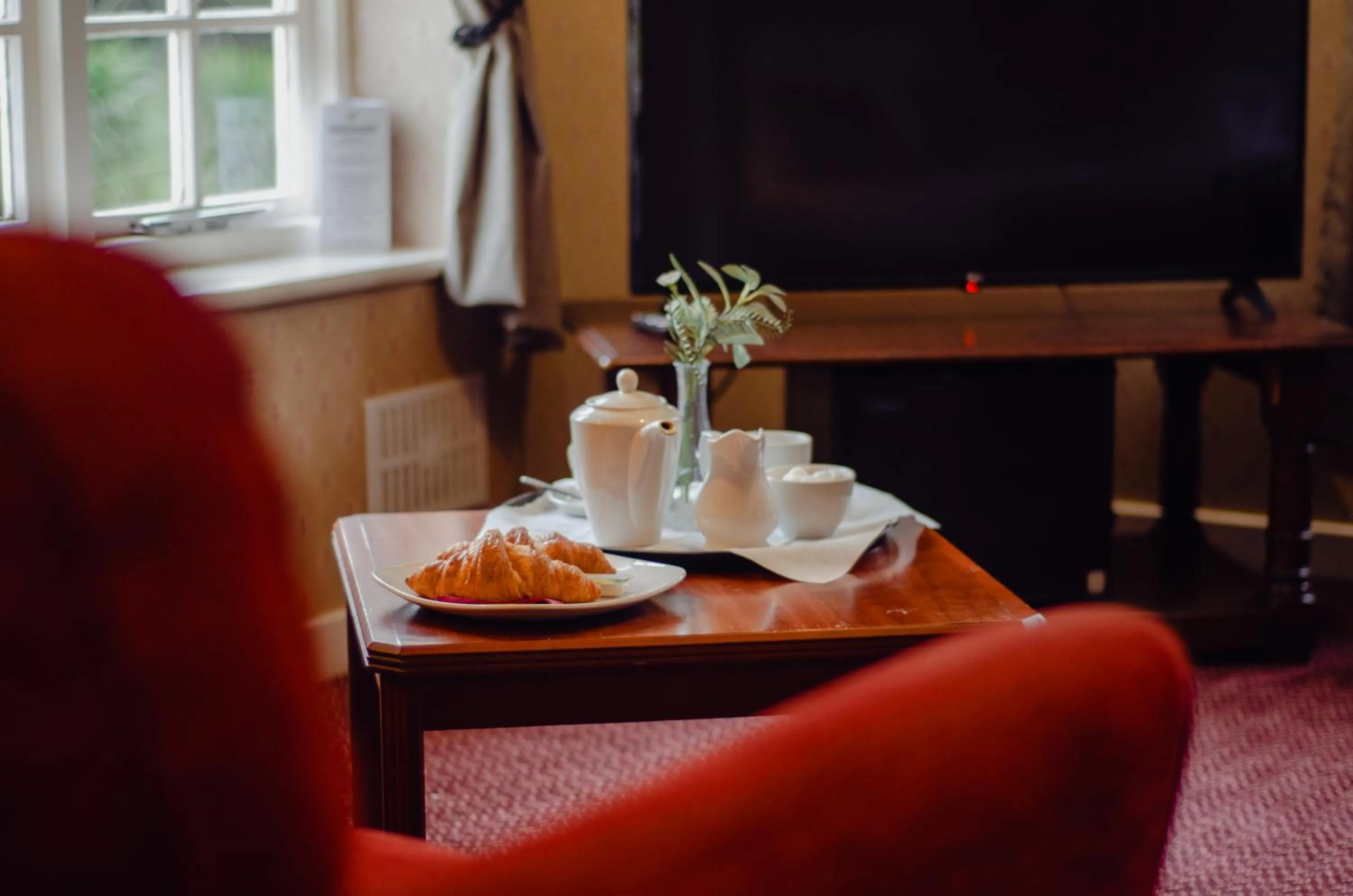 TV and multimedia in Howfield Manor Hotel