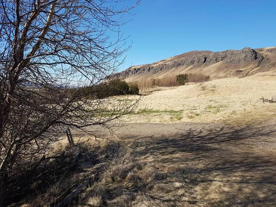 Neighbourhood in Ravencliff Lodge