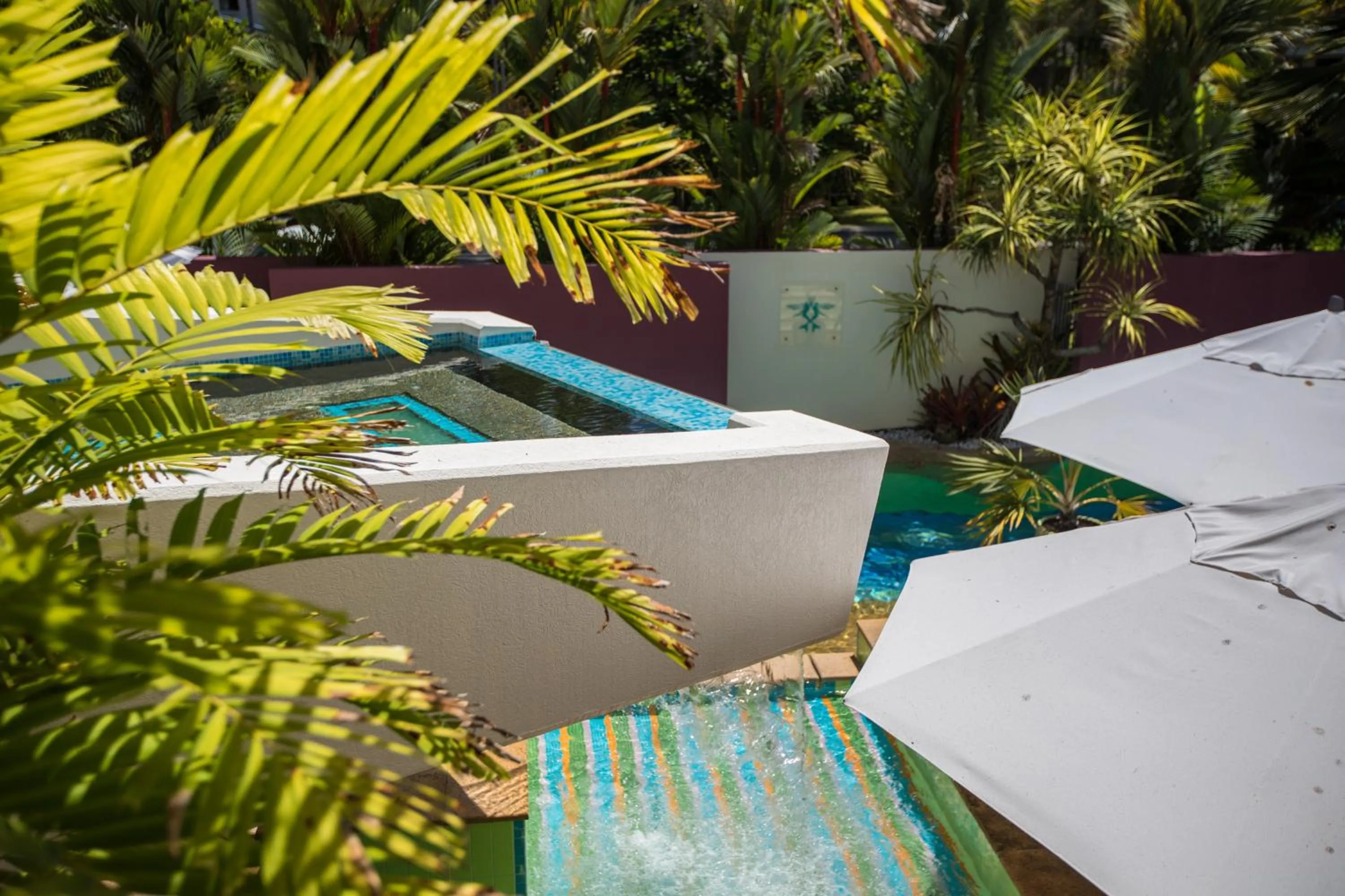 Swimming pool in Port Douglas Peninsula Boutique Hotel - Adults Only Haven