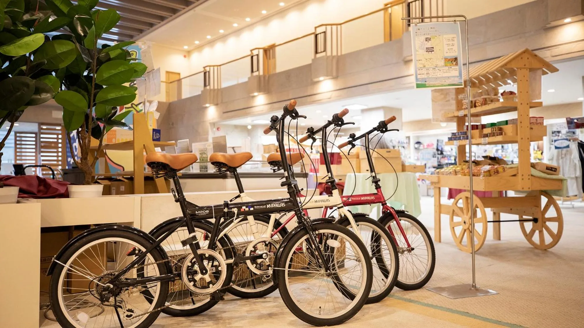 Cycling in Kamogawa Country Hotel