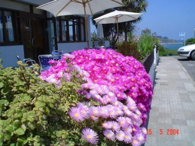 Spring in Hotel Los Laureles