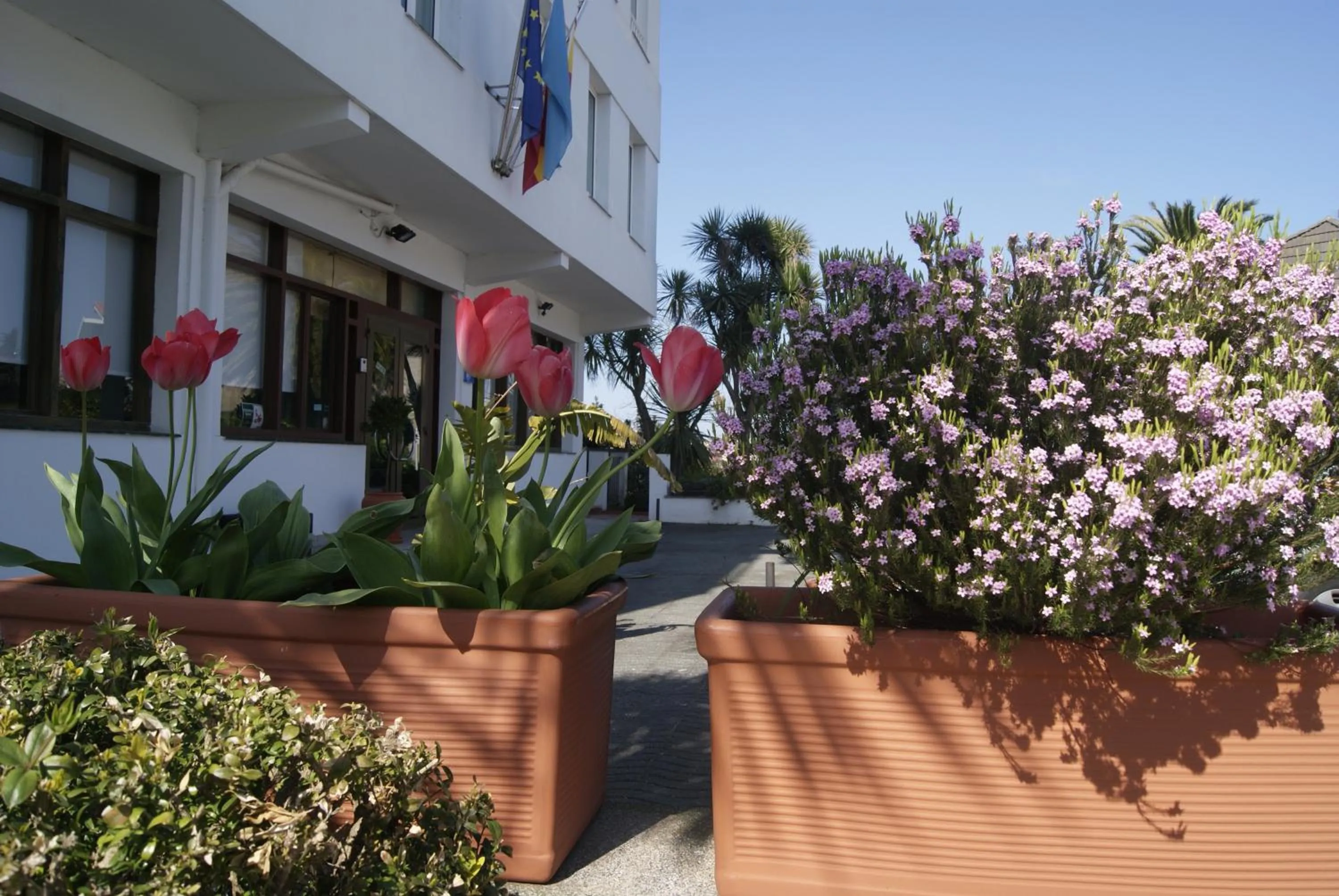 Spring in Hotel Los Laureles