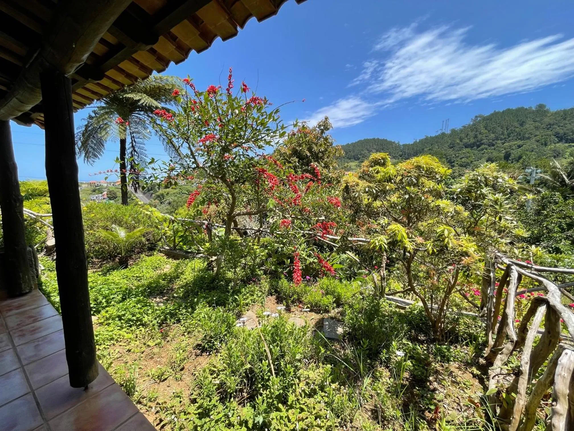 Garden in Casas de Campo do Pomar B&B - Self Check-in