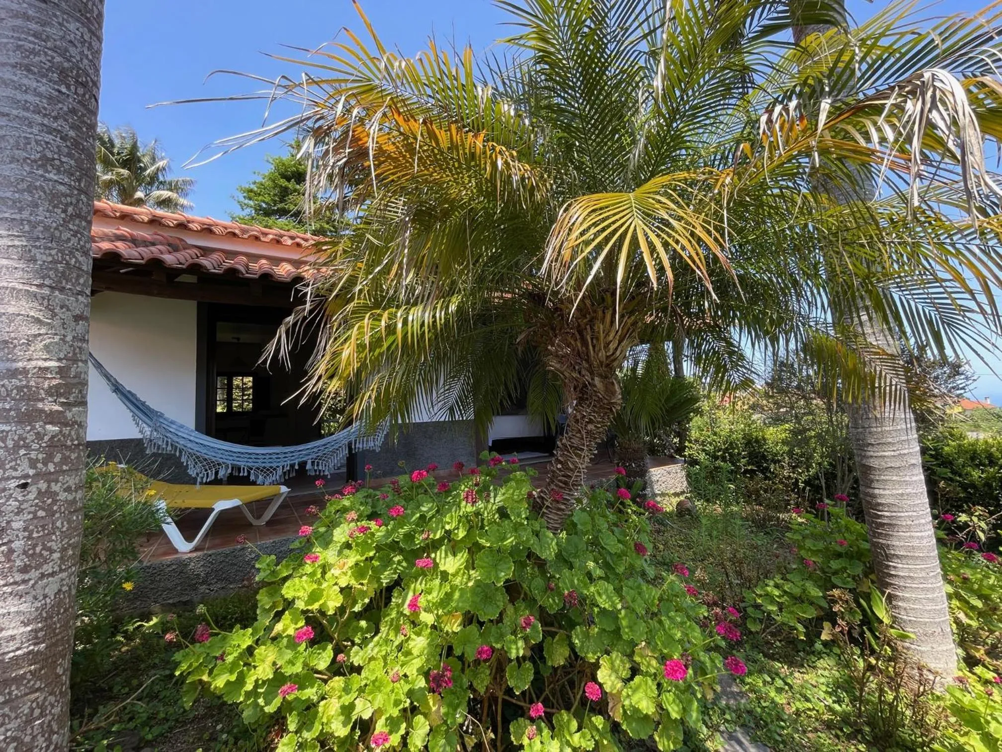 Garden in Casas de Campo do Pomar B&B - Self Check-in