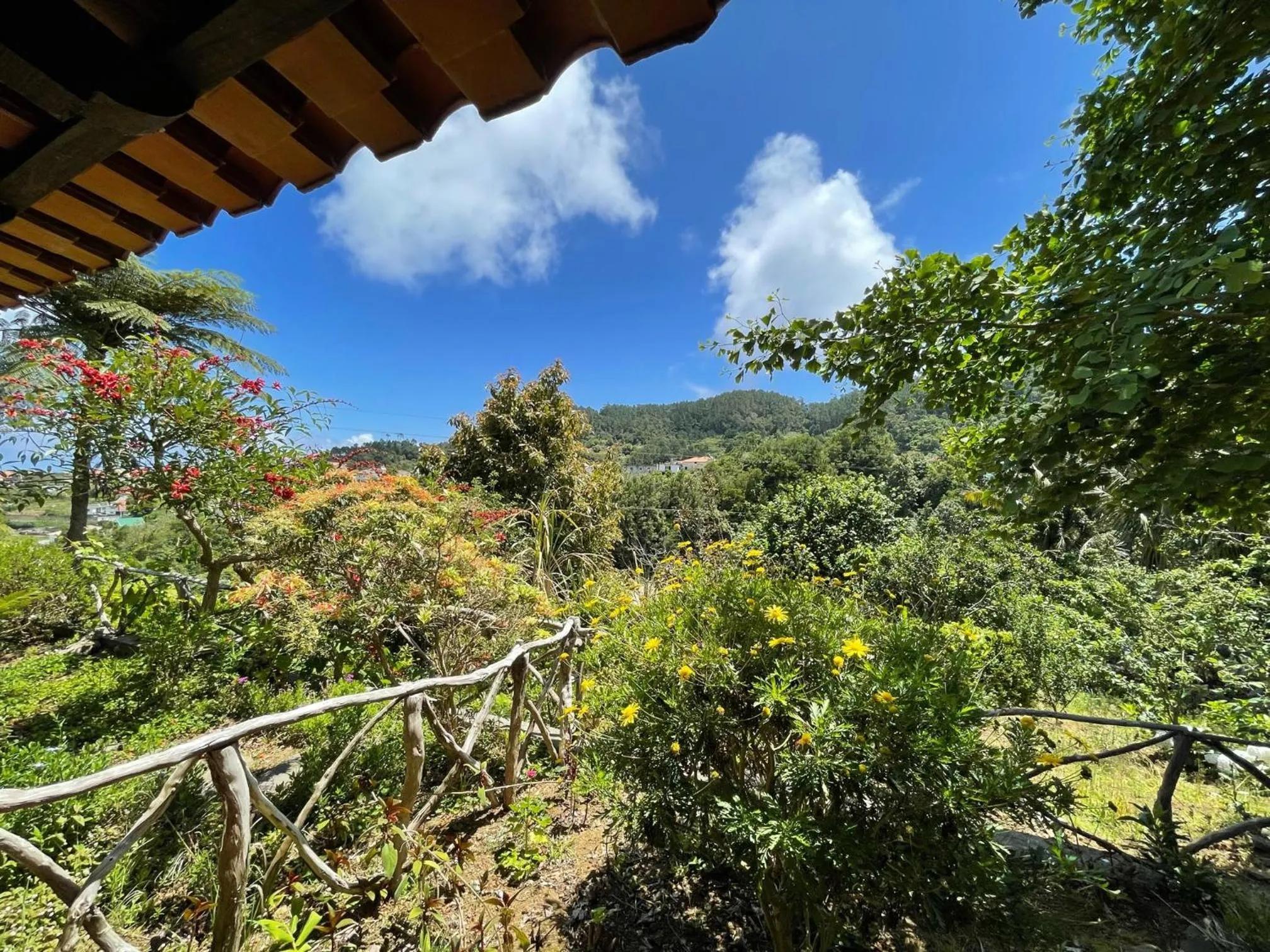 Garden in Casas de Campo do Pomar B&B - Self Check-in