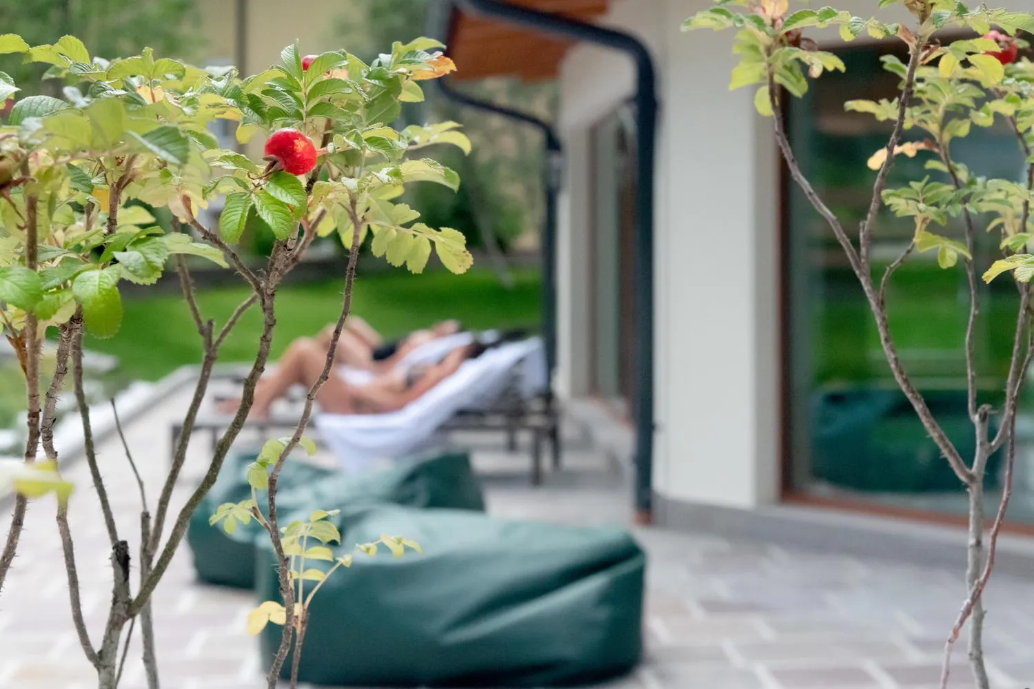 Balcony/Terrace in Hotel El Paster