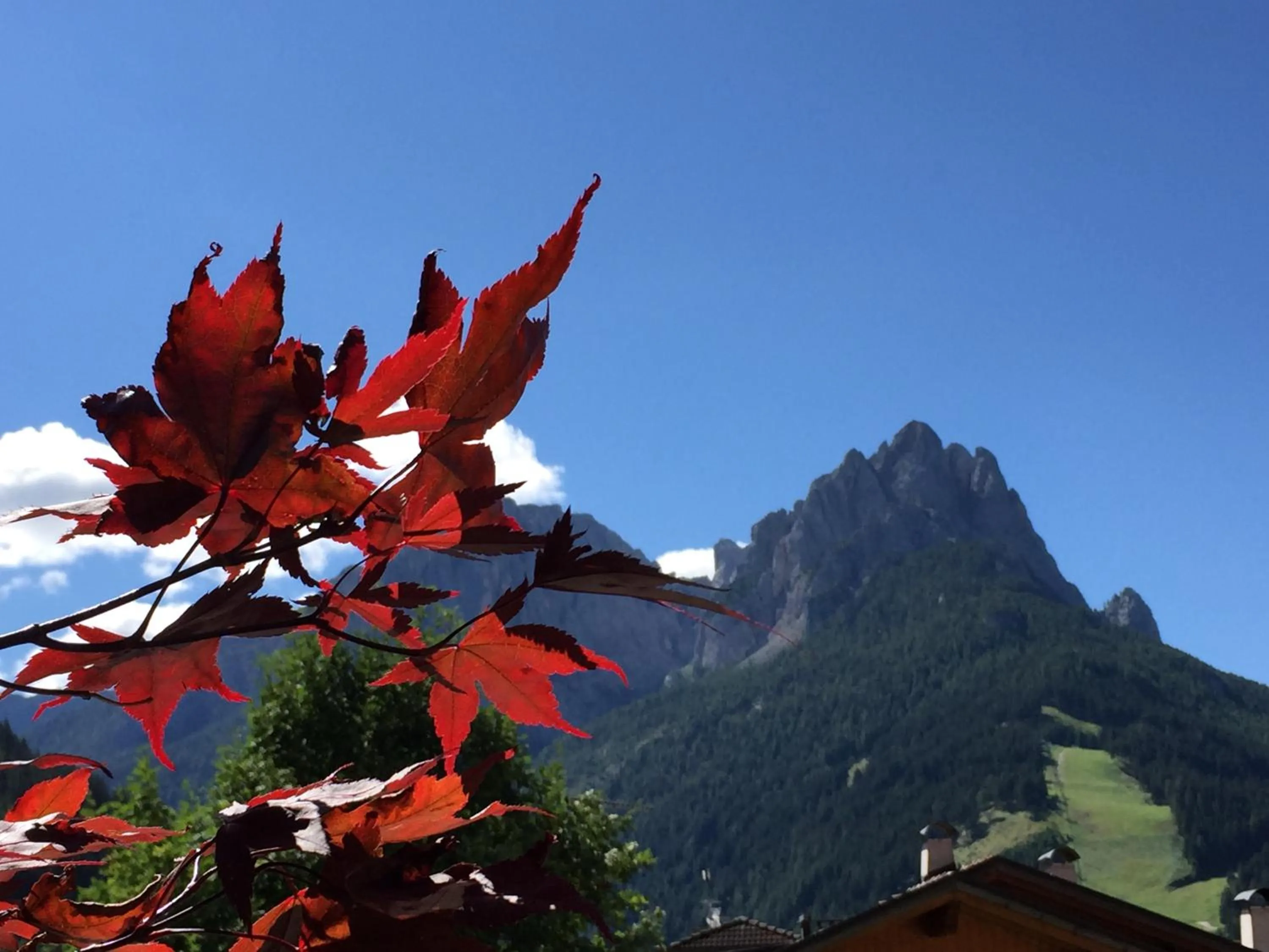 Spring in Hotel El Paster