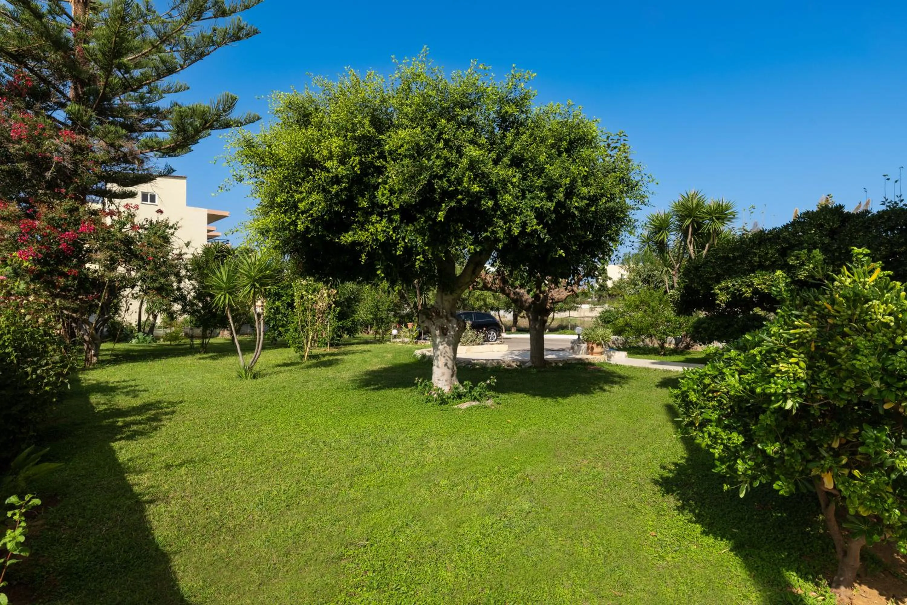 Garden view in Dimitra & Evdokia Hotel