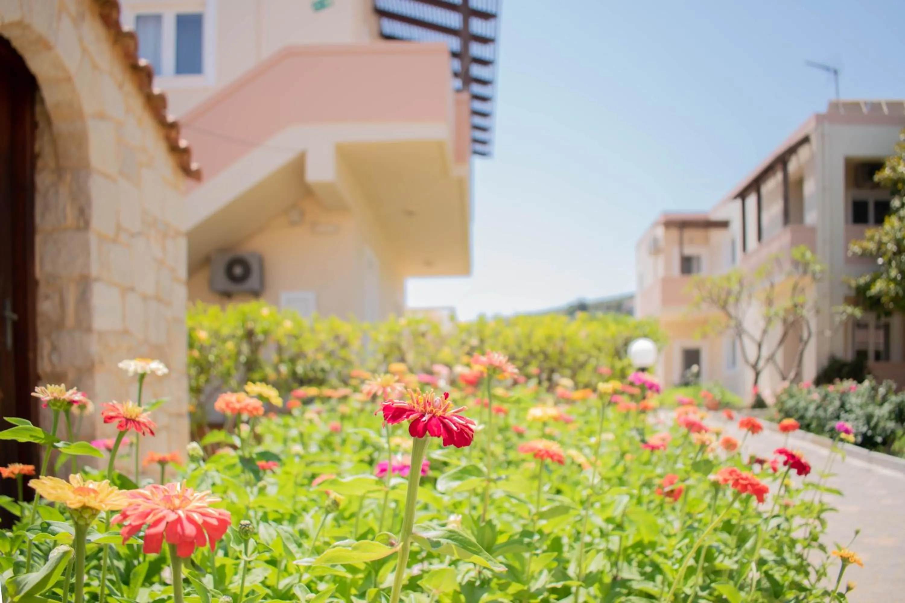 Garden in Dimitra & Evdokia Hotel