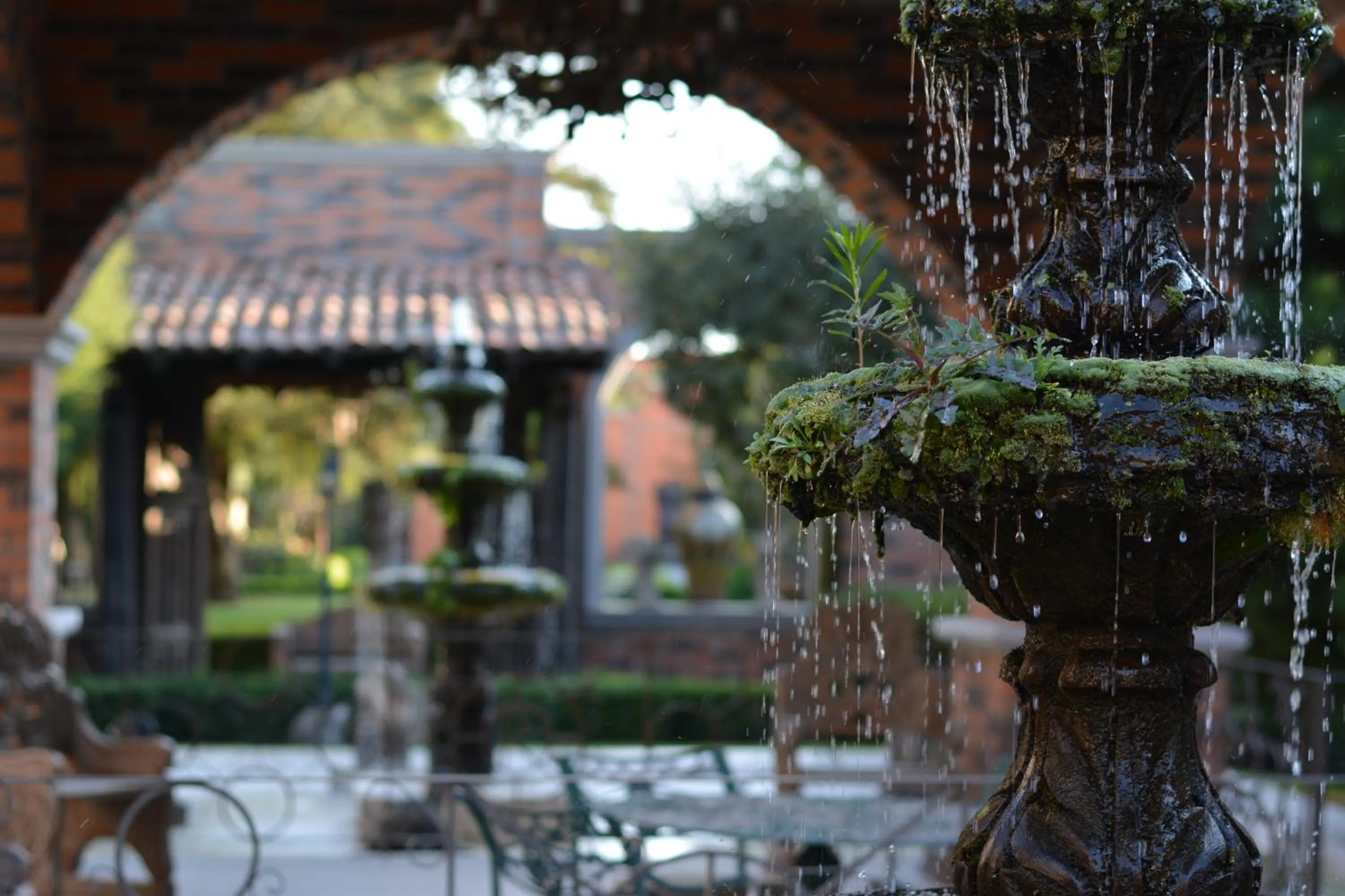 Garden in Quinta del Rey Hotel
