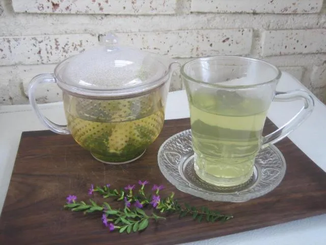 Amrita Villa Sidemen