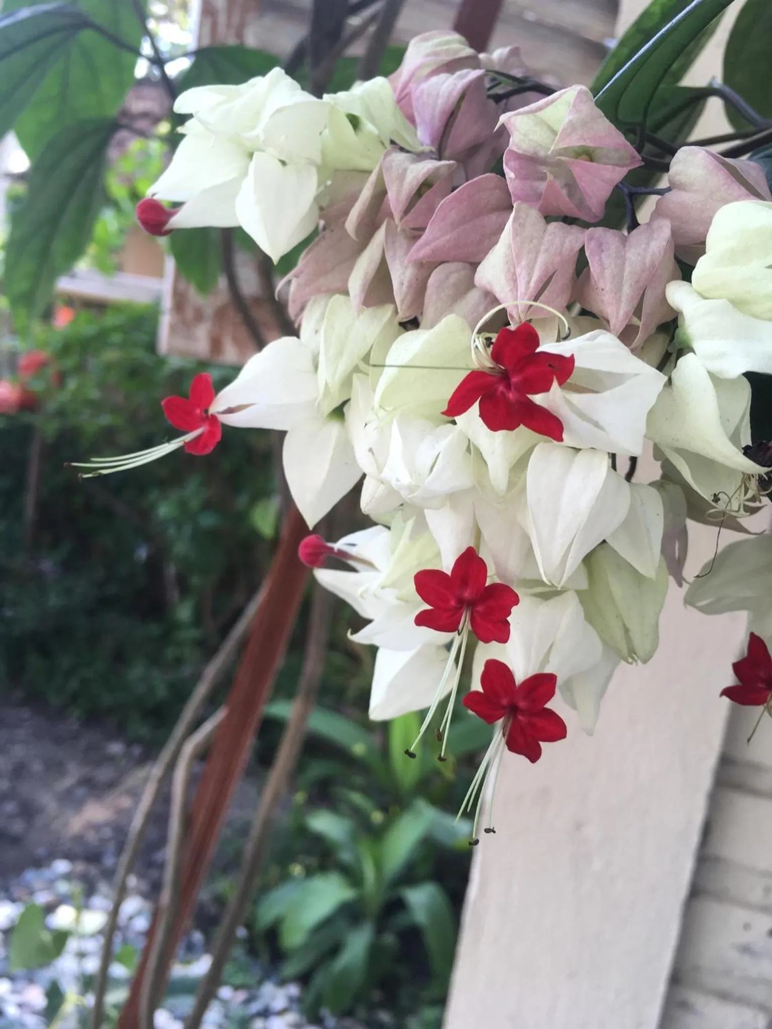 Amrita Villa Sidemen