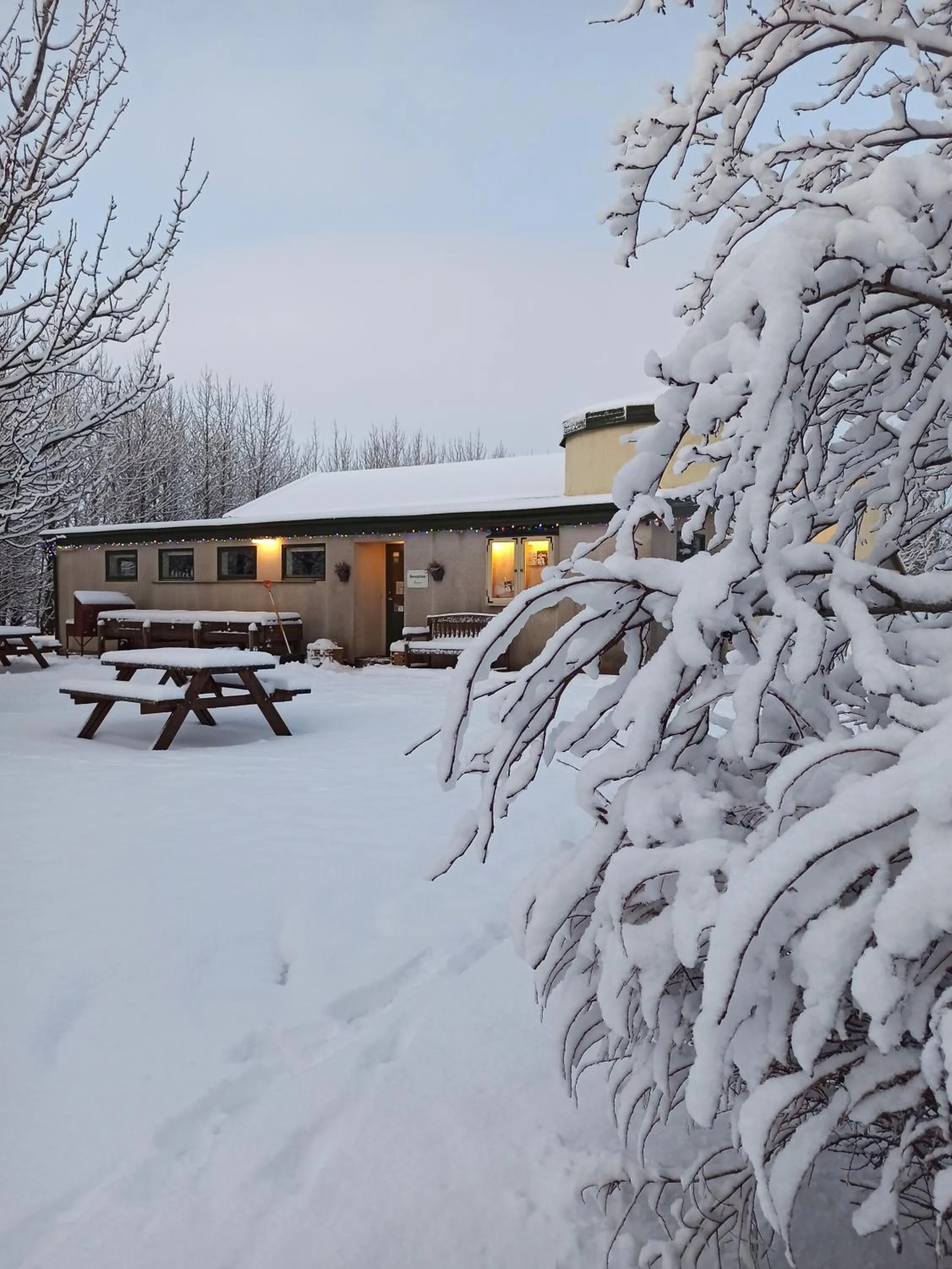 Winter in Hotel Hjardarbol