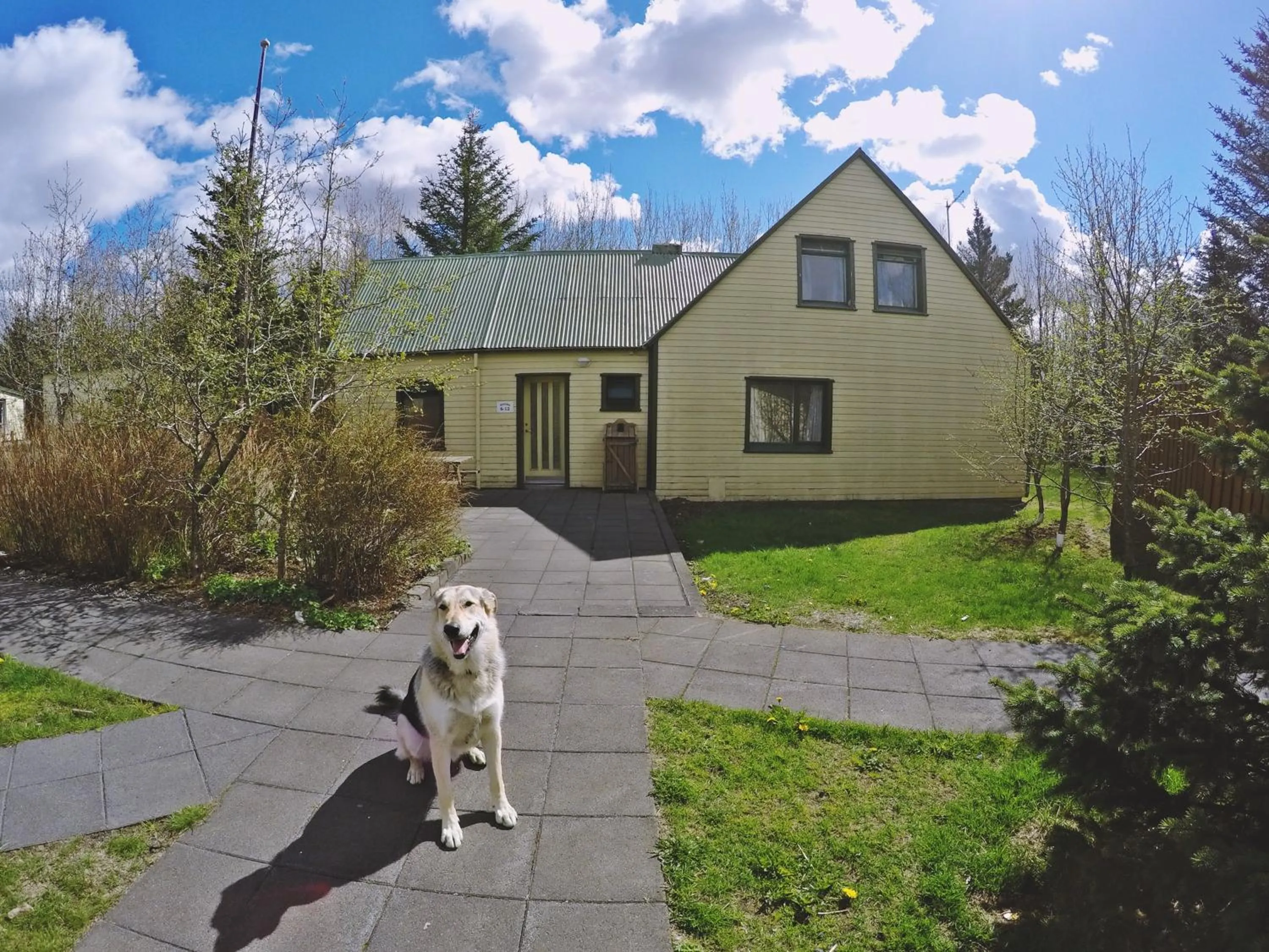 Day in Hotel Hjardarbol