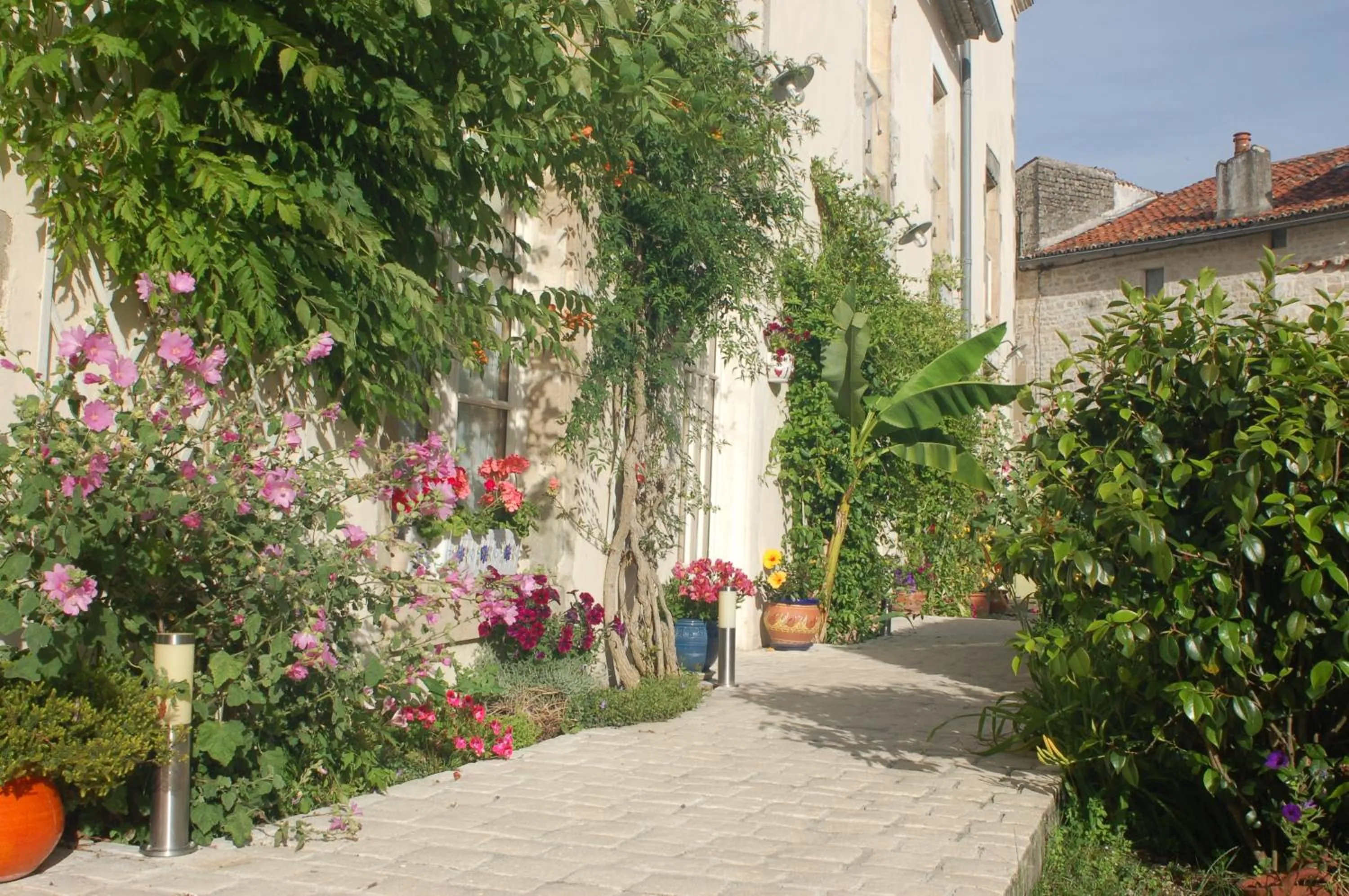 Garden in Hôtel du Donjon
