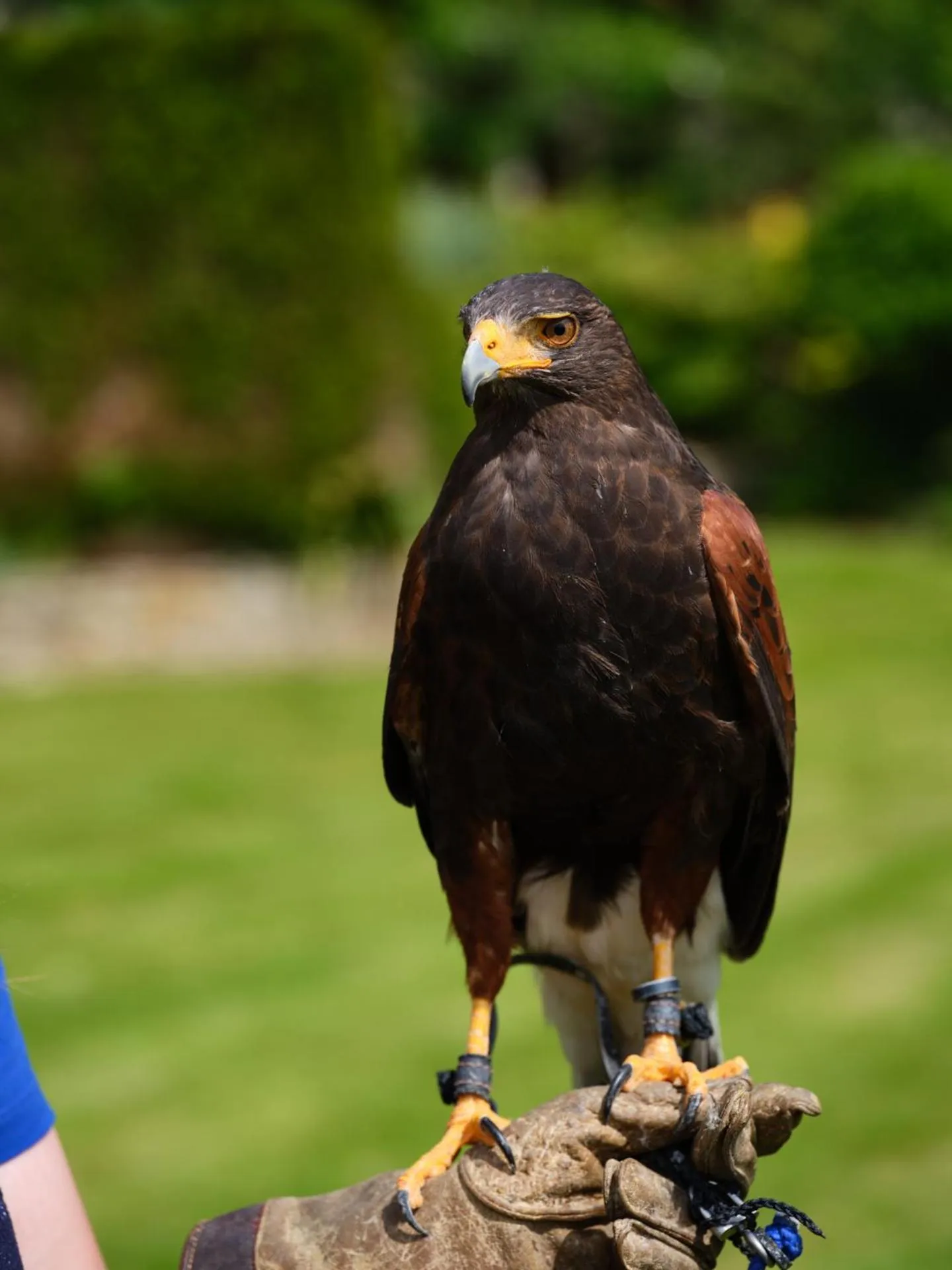Activities in The Fish Hotel