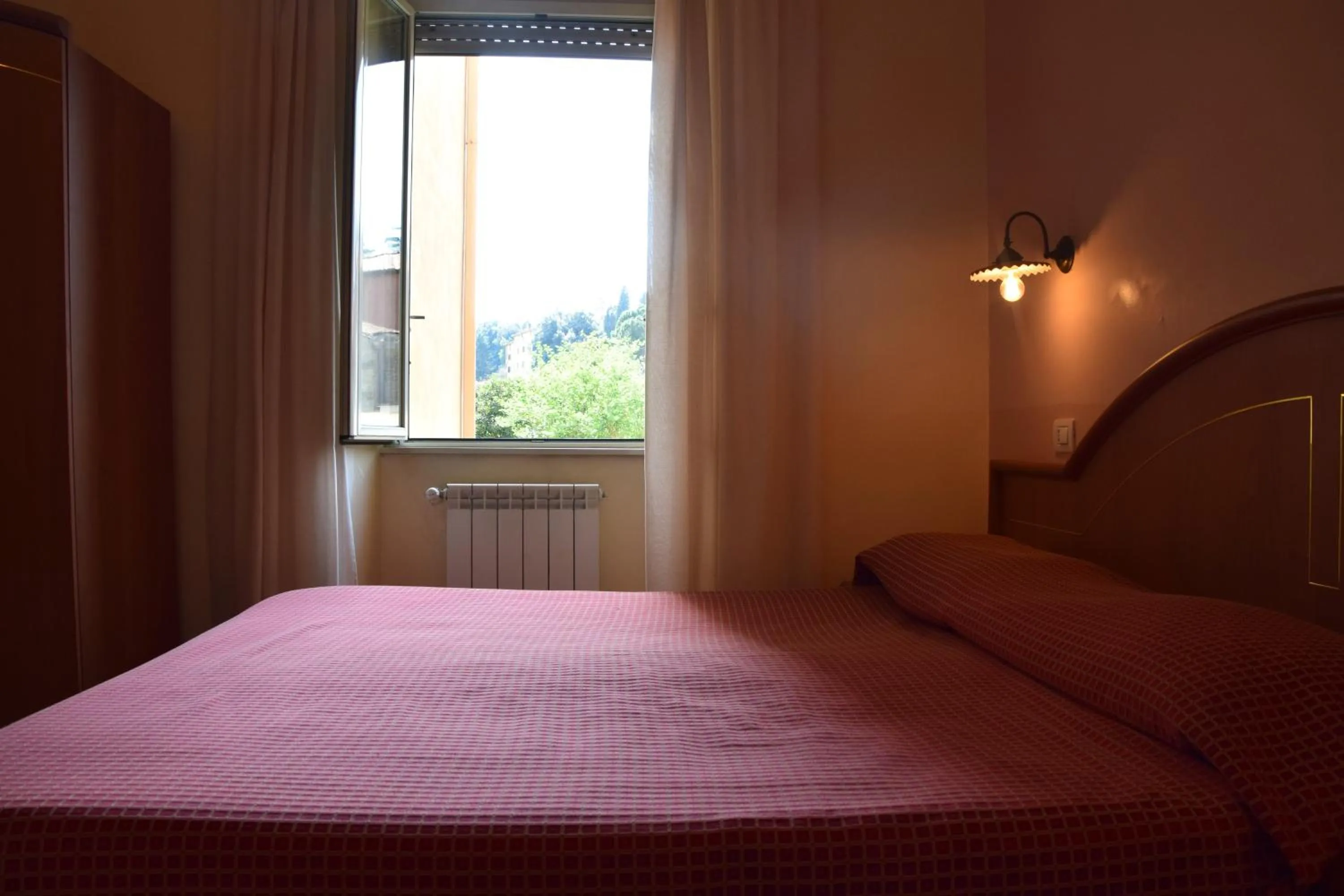 Double Room in Hotel Ristorante Benigni