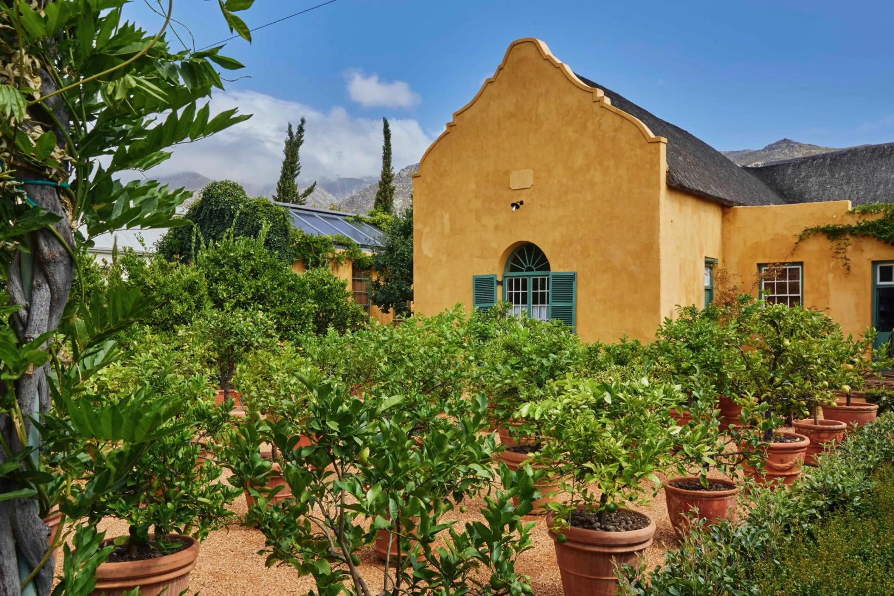 Garden in Jonkmanshof - 20 Bath