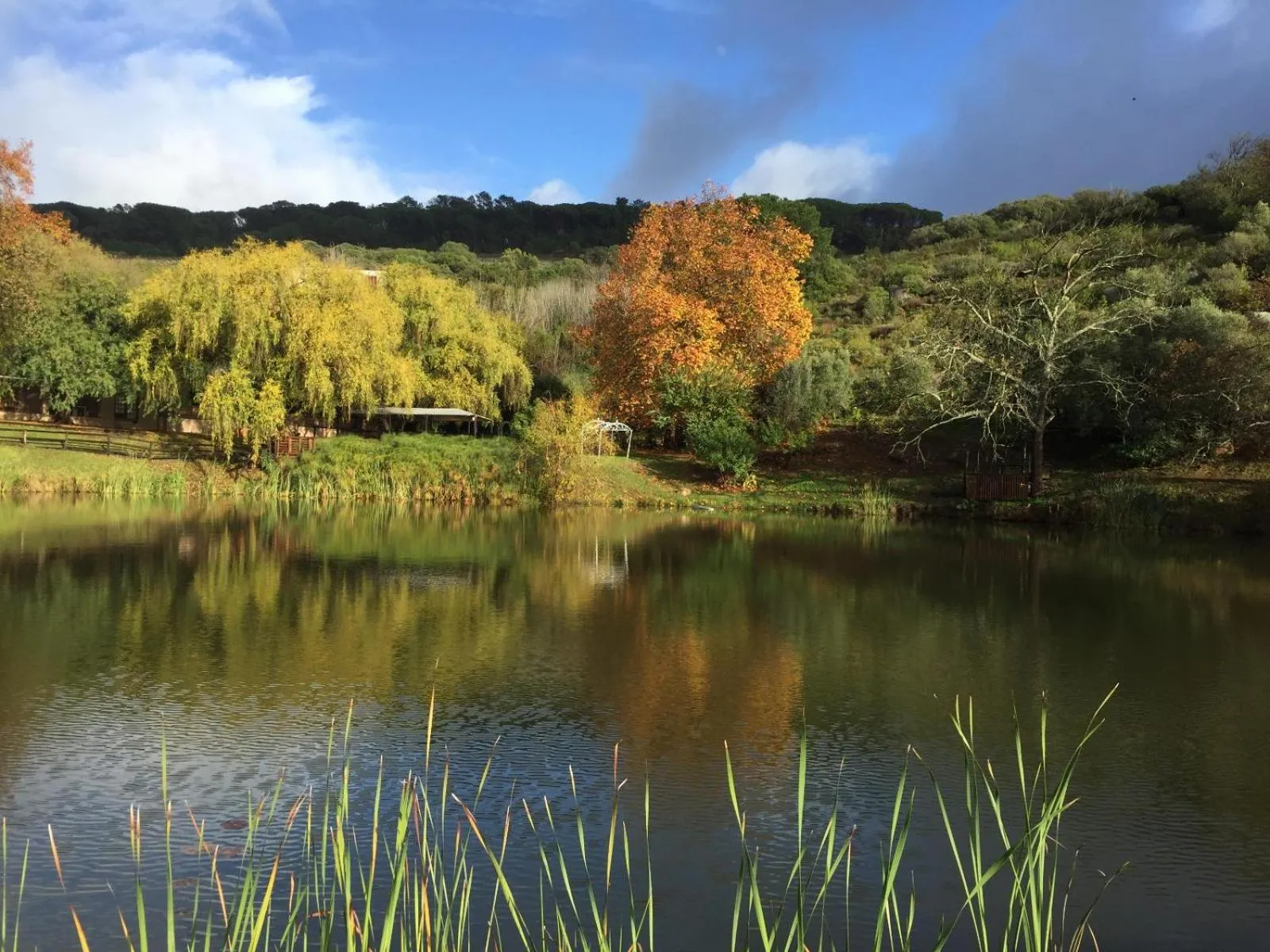 Natural landscape in Picardie Guest Farm
