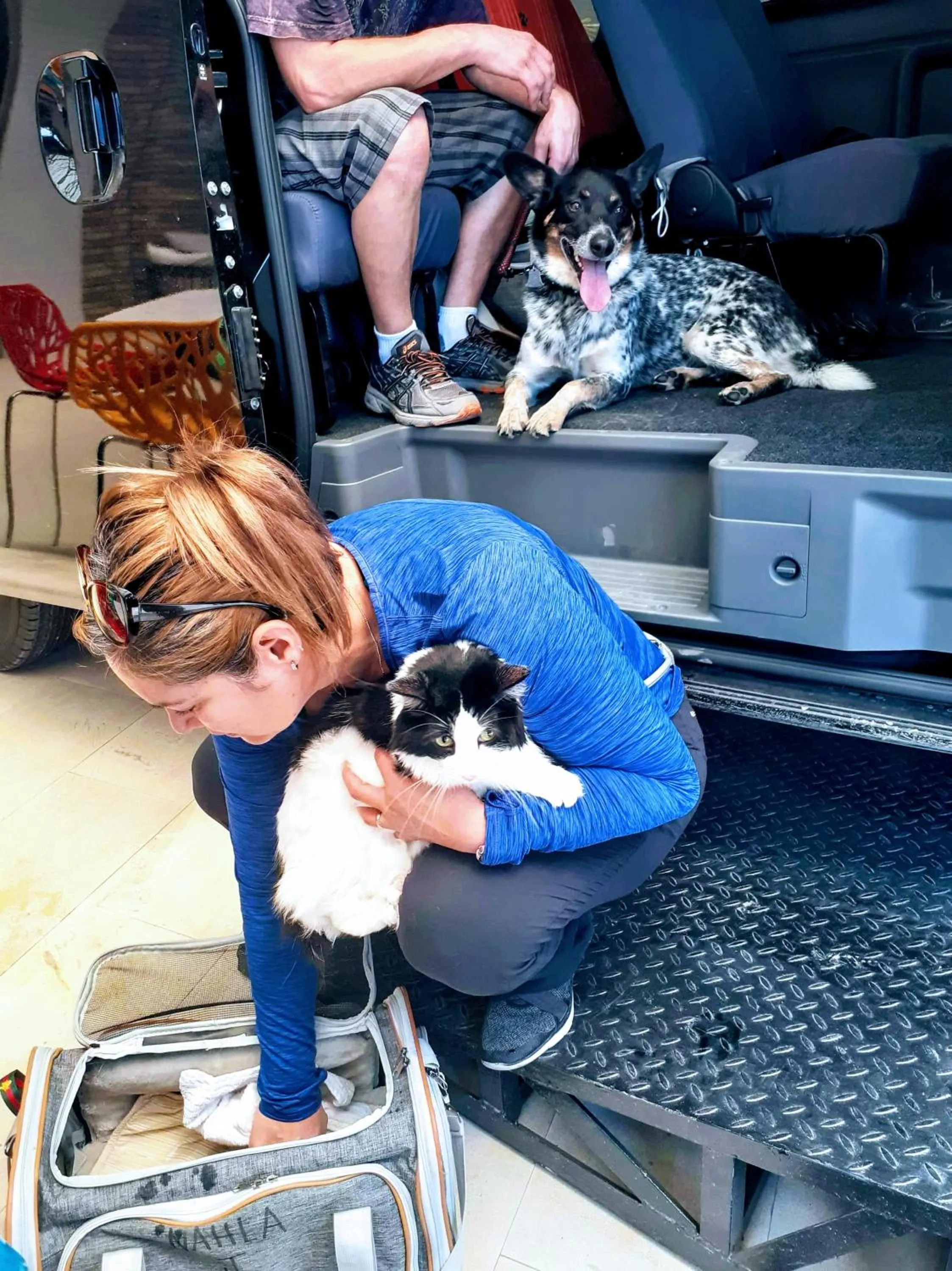 Pets in HalfWay House Hostel Mactan Cebu Airport