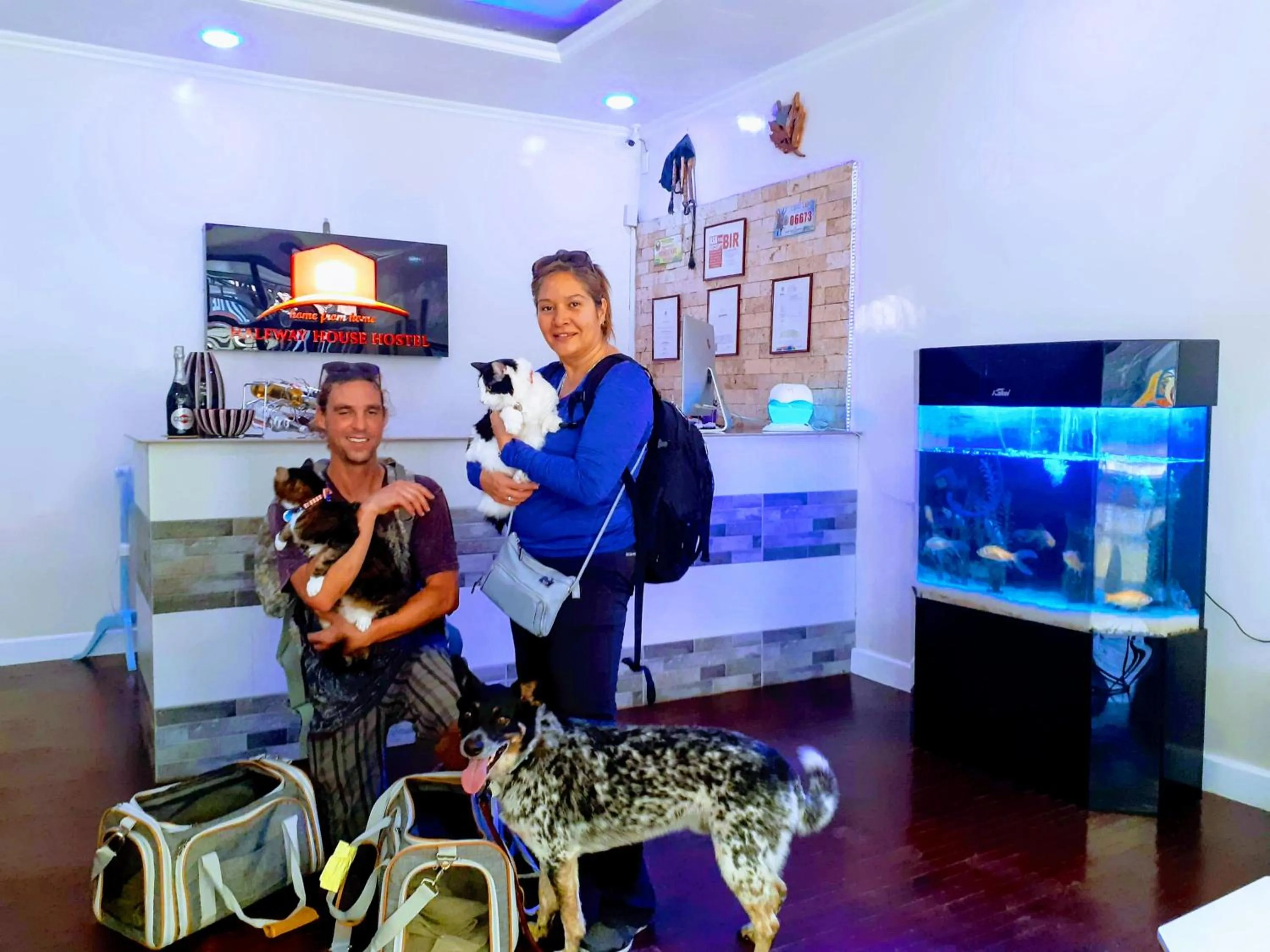 Animals in HalfWay House Hostel Mactan Cebu Airport