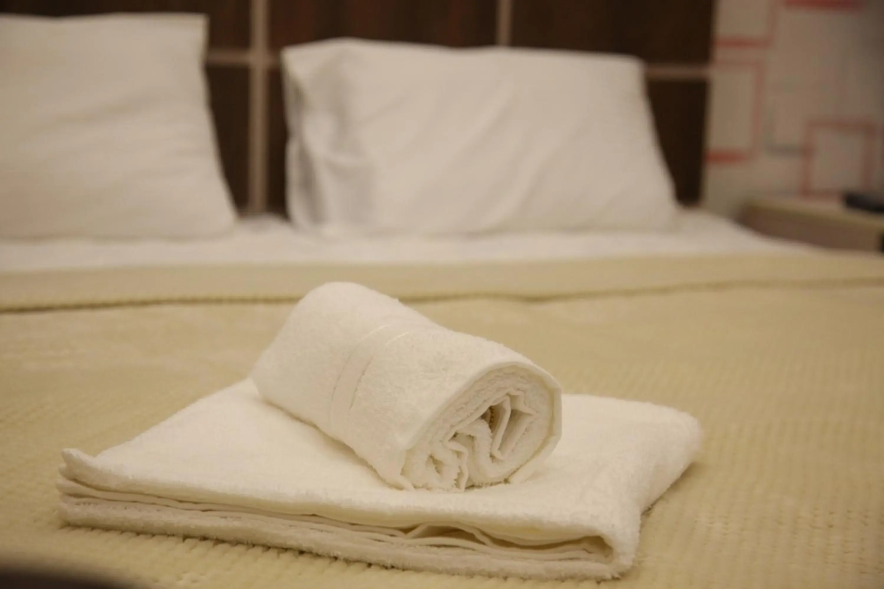 Double Room in Hotel Felisa Gyumri Double Room in Hotel Felisa Gyumri