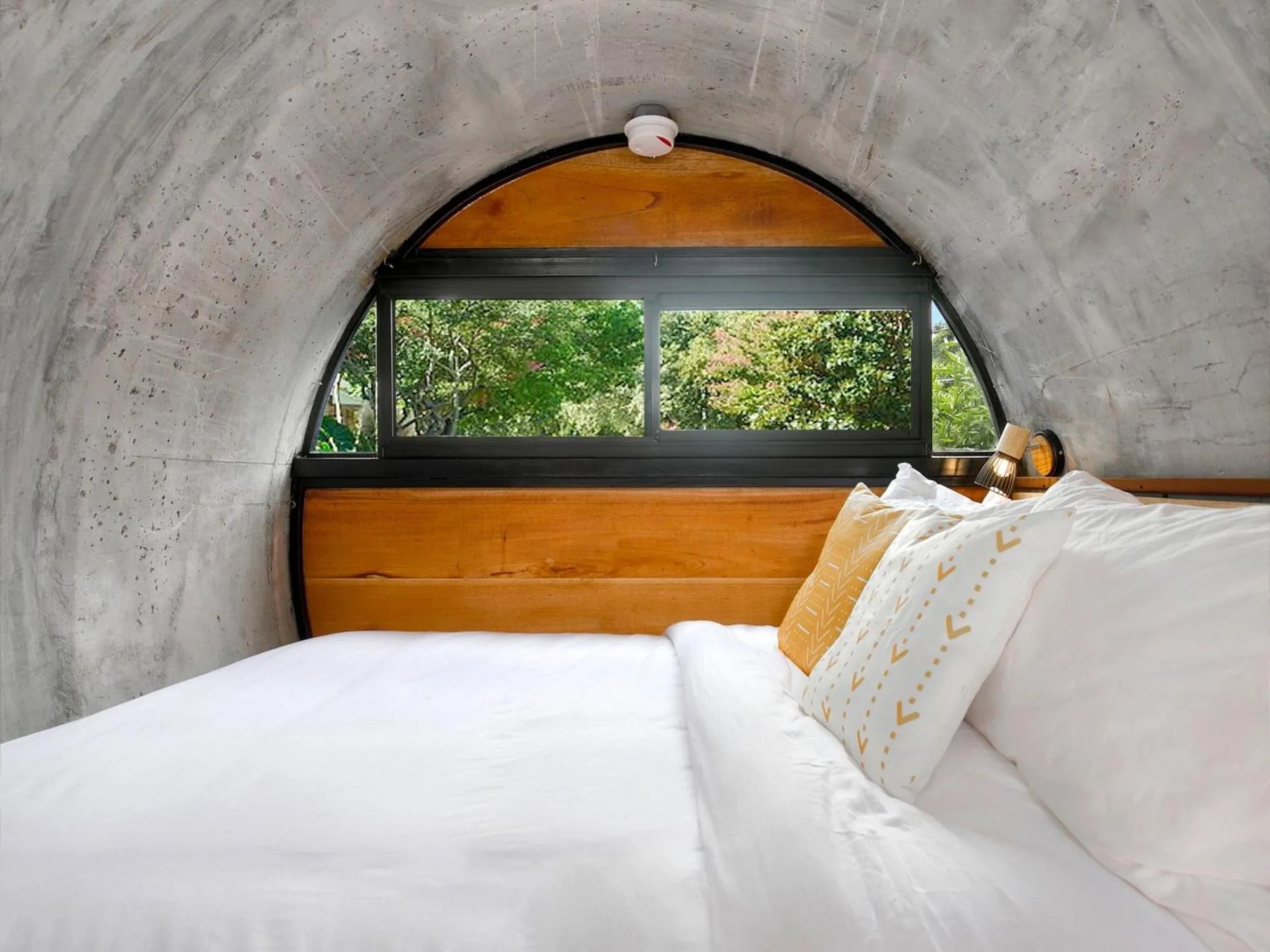 Photo of the whole room in Socialtel Boquete