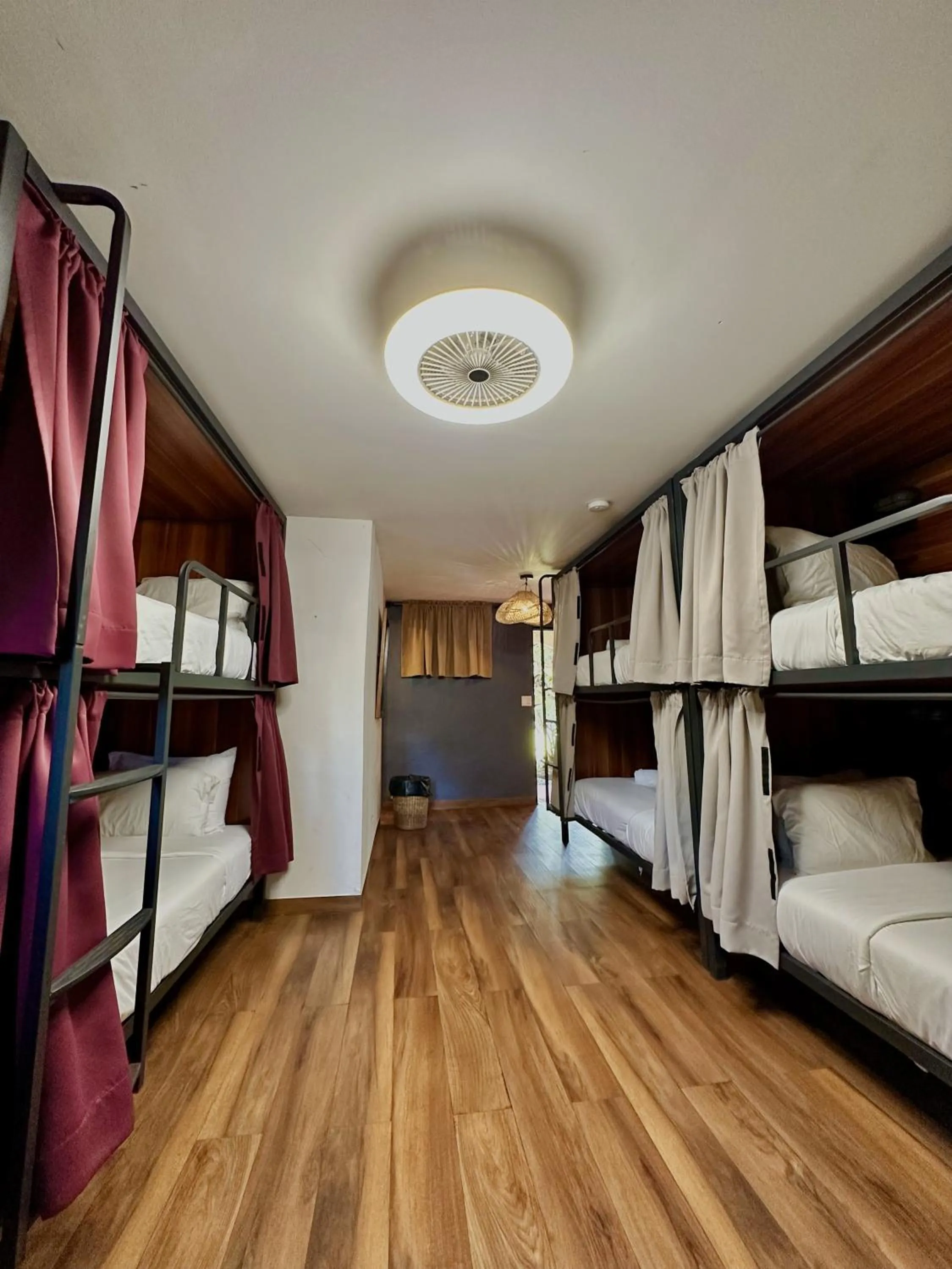 Photo of the whole room in Socialtel Boquete